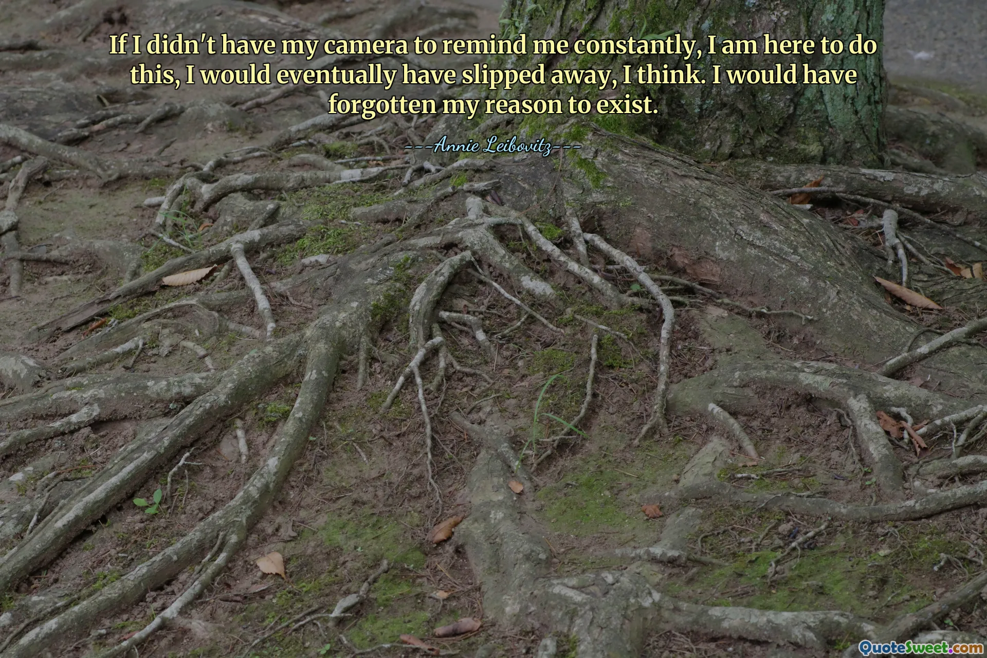 If I didn't have my camera to remind me constantly, I am here to do this, I would eventually have slipped away, I think. I would have forgotten my reason to exist.