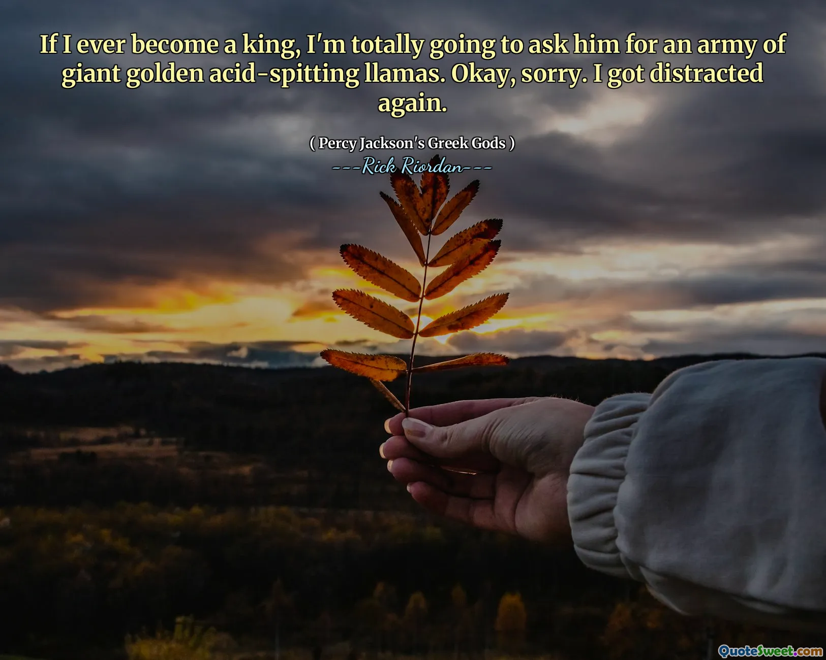 If I ever become a king, I'm totally going to ask him for an army of giant golden acid-spitting llamas. Okay, sorry. I got distracted again.