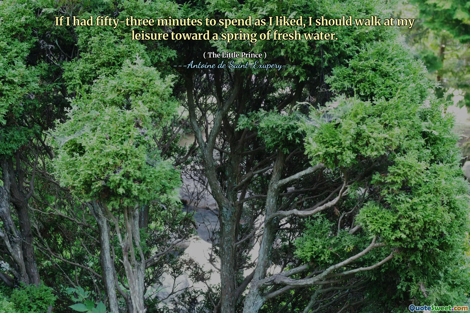 If I had fifty-three minutes to spend as I liked, I should walk at my leisure toward a spring of fresh water.