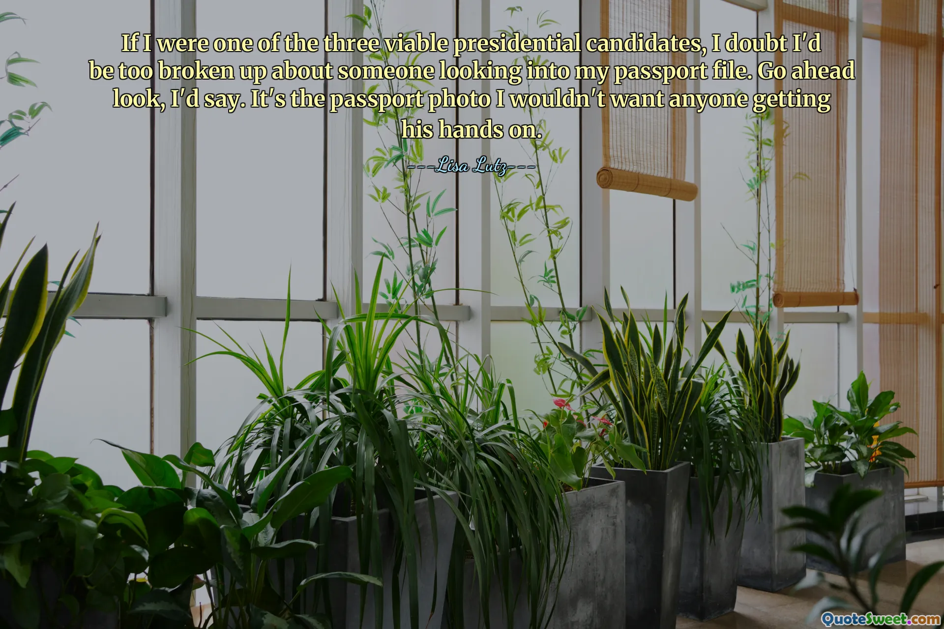 If I were one of the three viable presidential candidates, I doubt I'd be too broken up about someone looking into my passport file. Go ahead look, I'd say. It's the passport photo I wouldn't want anyone getting his hands on.