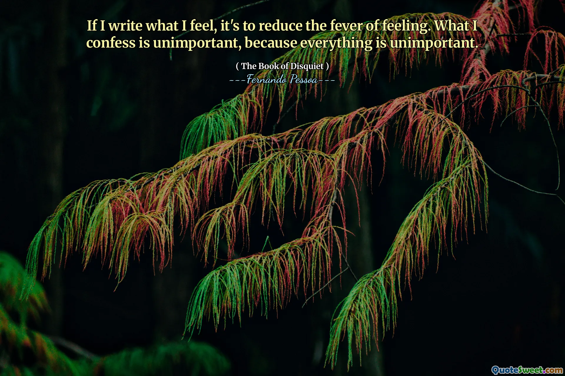 If I write what I feel, it's to reduce the fever of feeling. What I confess is unimportant, because everything is unimportant.