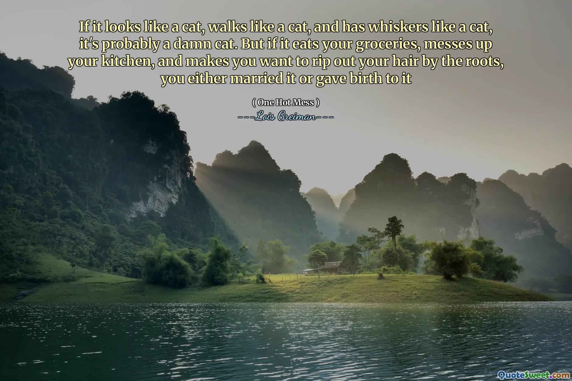 If it looks like a cat, walks like a cat, and has whiskers like a cat, it's probably a damn cat. But if it eats your groceries, messes up your kitchen, and makes you want to rip out your hair by the roots, you either married it or gave birth to it