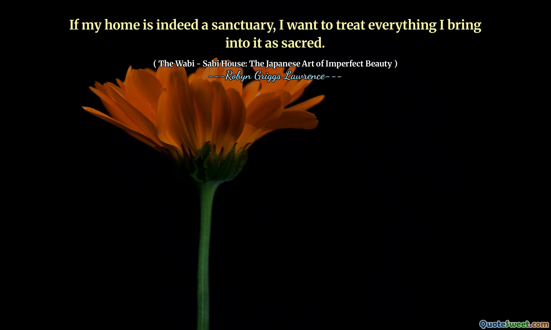 If my home is indeed a sanctuary, I want to treat everything I bring into it as sacred.