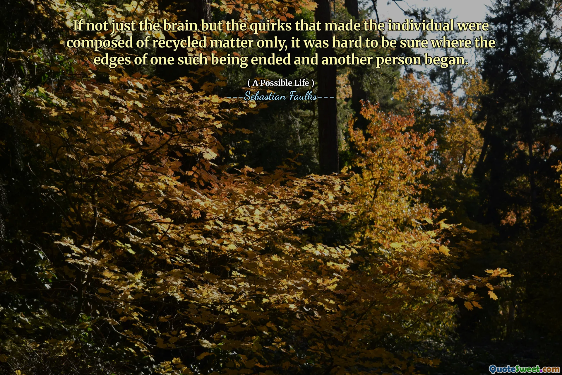 Om inte bara hjärnan utan de egendomar som gjorde att individen endast bestod av återvunnet material, var det svårt att vara säker på var kanterna på en sådan var slut och en annan person började.