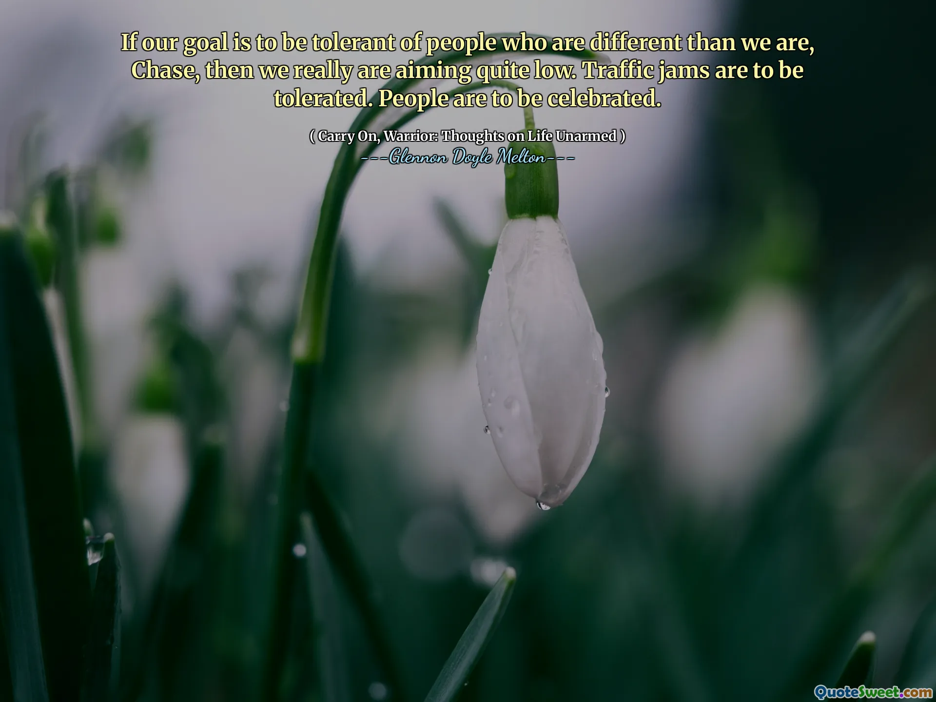 If our goal is to be tolerant of people who are different than we are, Chase, then we really are aiming quite low. Traffic jams are to be tolerated. People are to be celebrated.