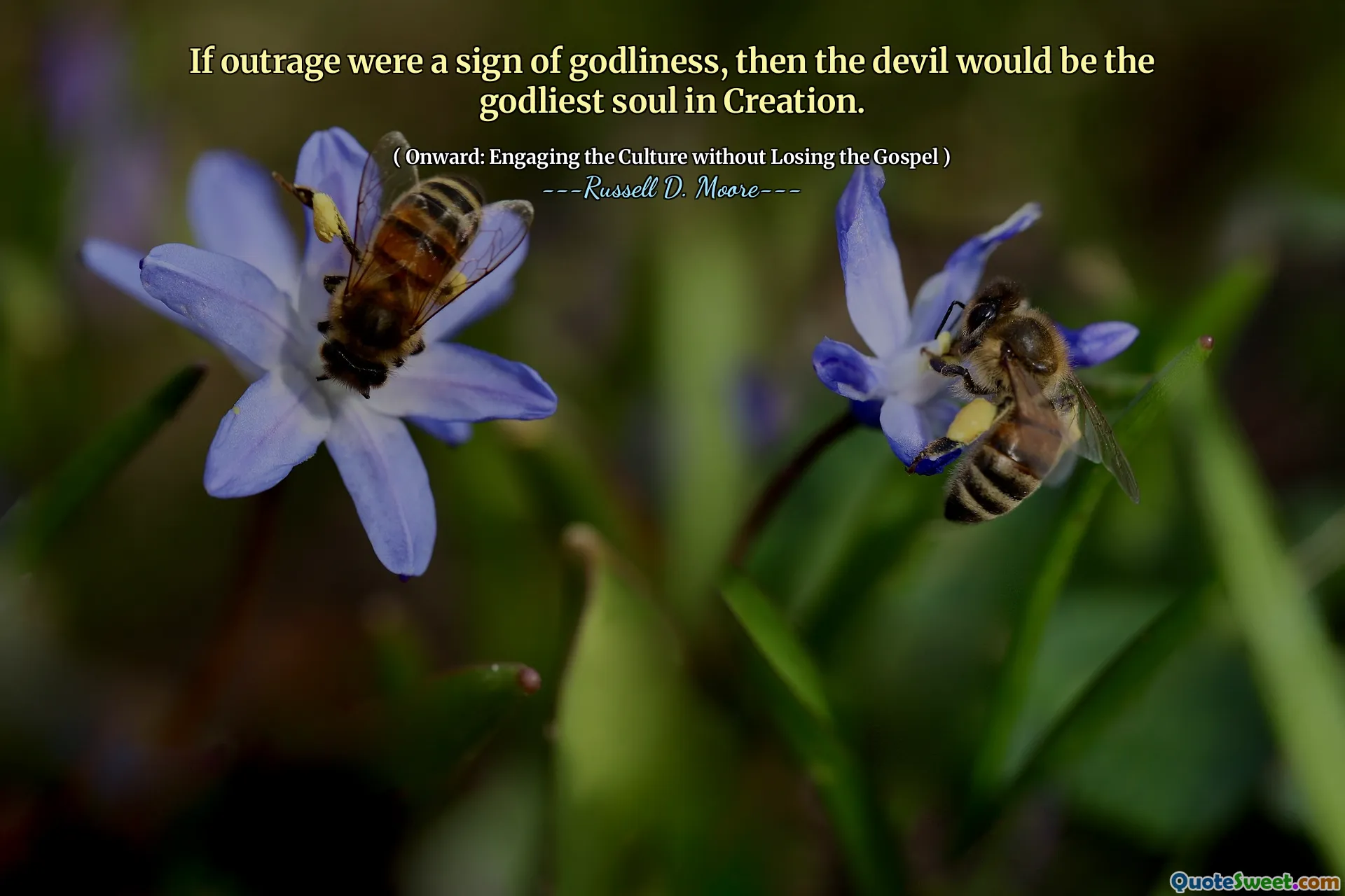 If outrage were a sign of godliness, then the devil would be the godliest soul in Creation.