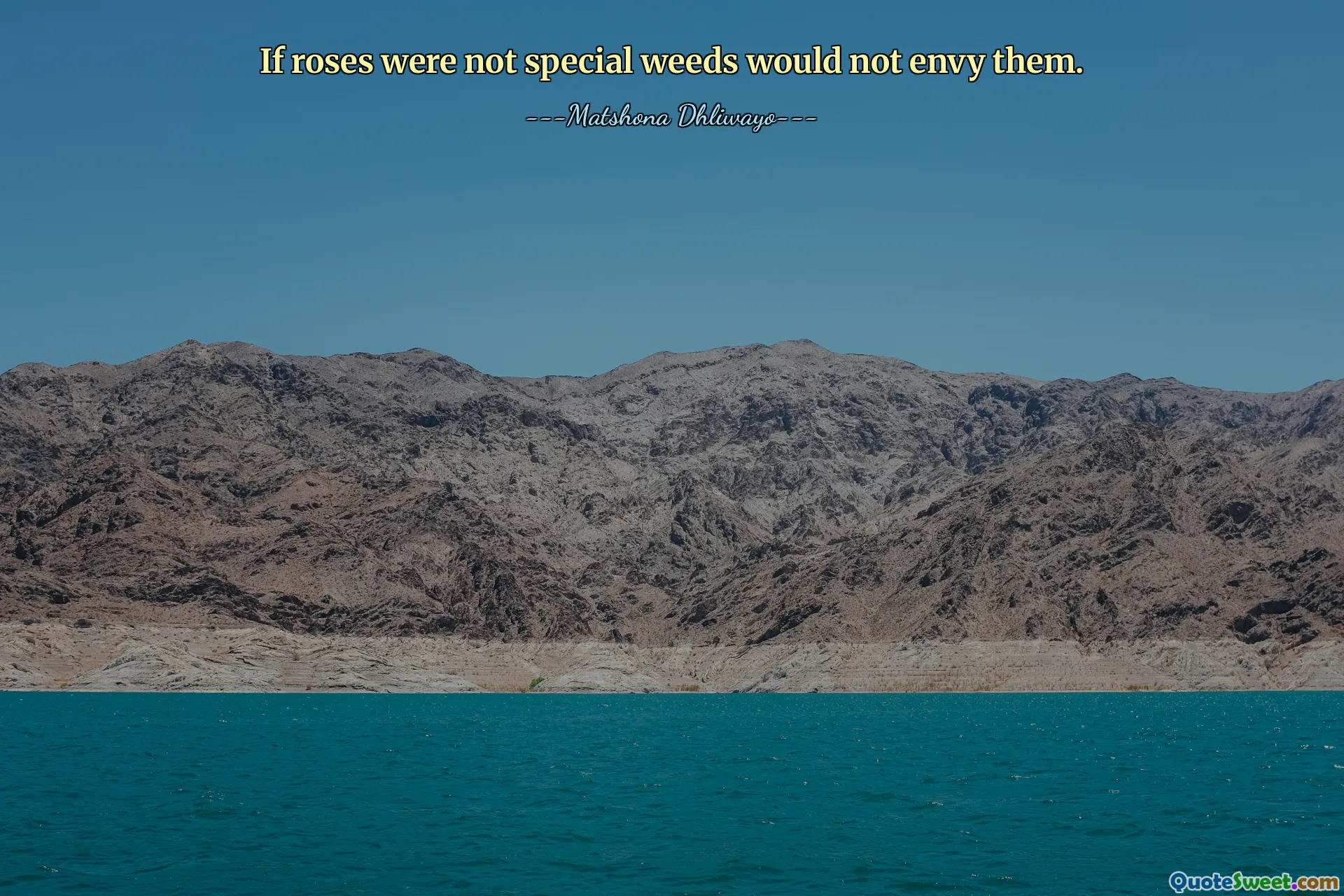 If roses were not special weeds would not envy them.