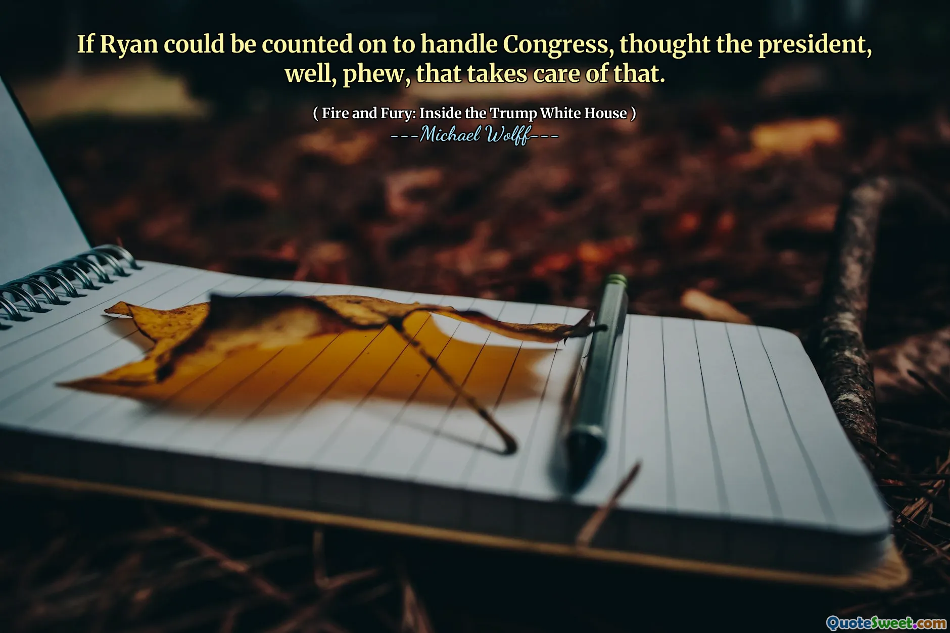 If Ryan could be counted on to handle Congress, thought the president, well, phew, that takes care of that.