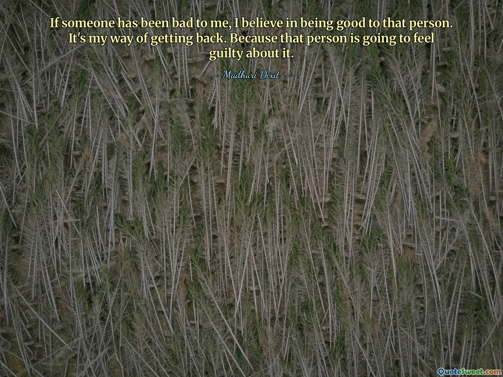 Birisi bana kötü davrandıysa, o kişiye iyi davranmam gerektiğine inanıyorum. Bu benim geri dönme yöntemim. Çünkü o kişi bundan suçluluk duyacaktır.
