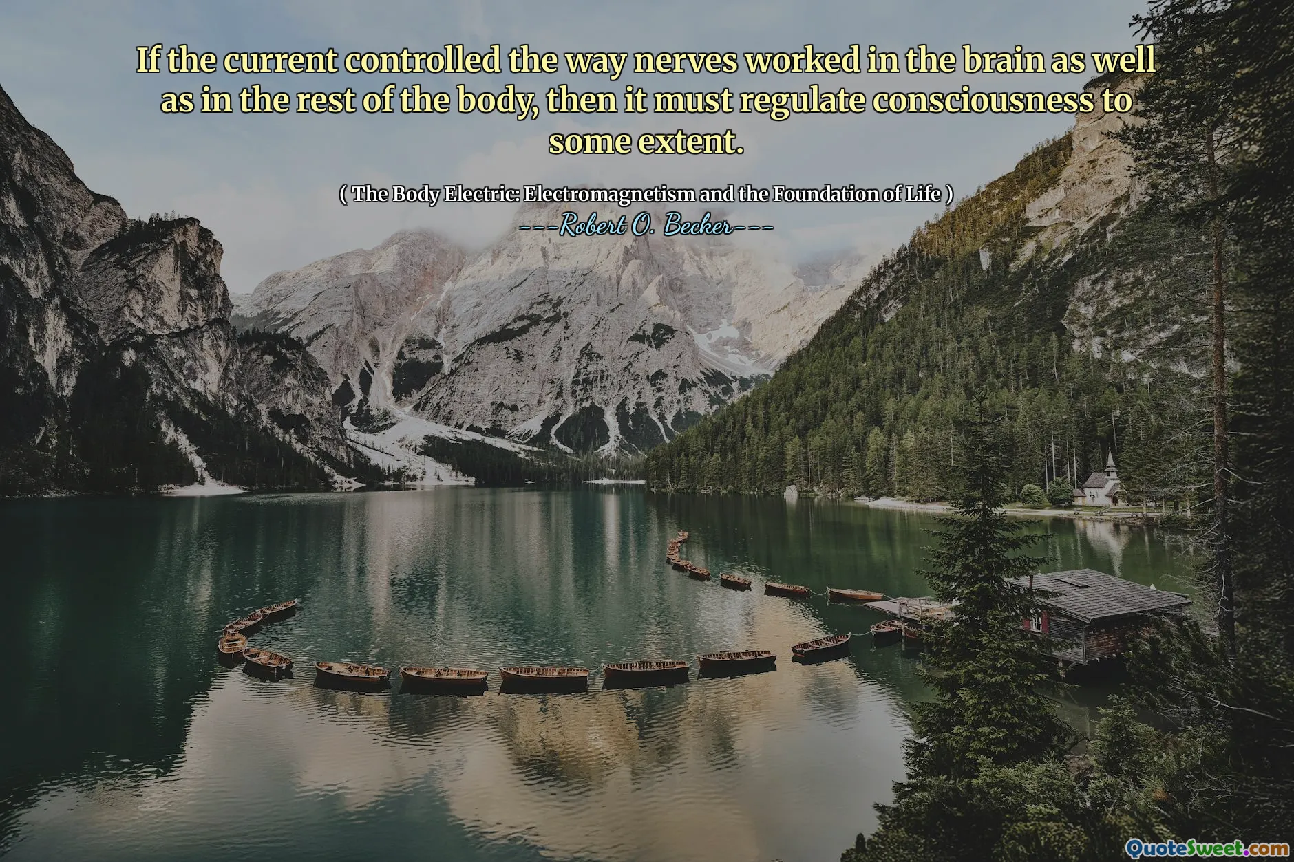 If the current controlled the way nerves worked in the brain as well as in the rest of the body, then it must regulate consciousness to some extent.
