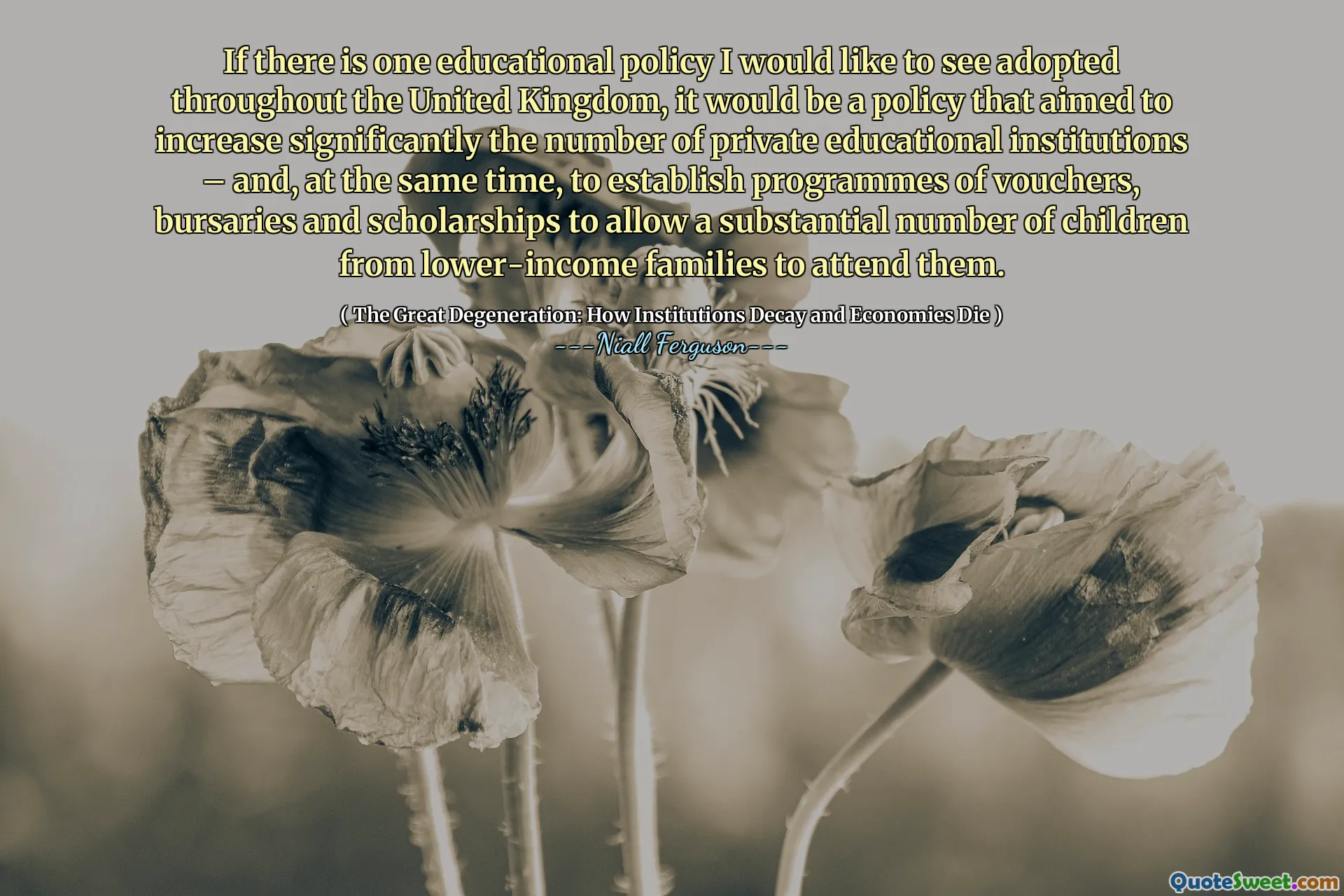 If there is one educational policy I would like to see adopted throughout the United Kingdom, it would be a policy that aimed to increase significantly the number of private educational institutions – and, at the same time, to establish programmes of vouchers, bursaries and scholarships to allow a substantial number of children from lower-income families to attend them.