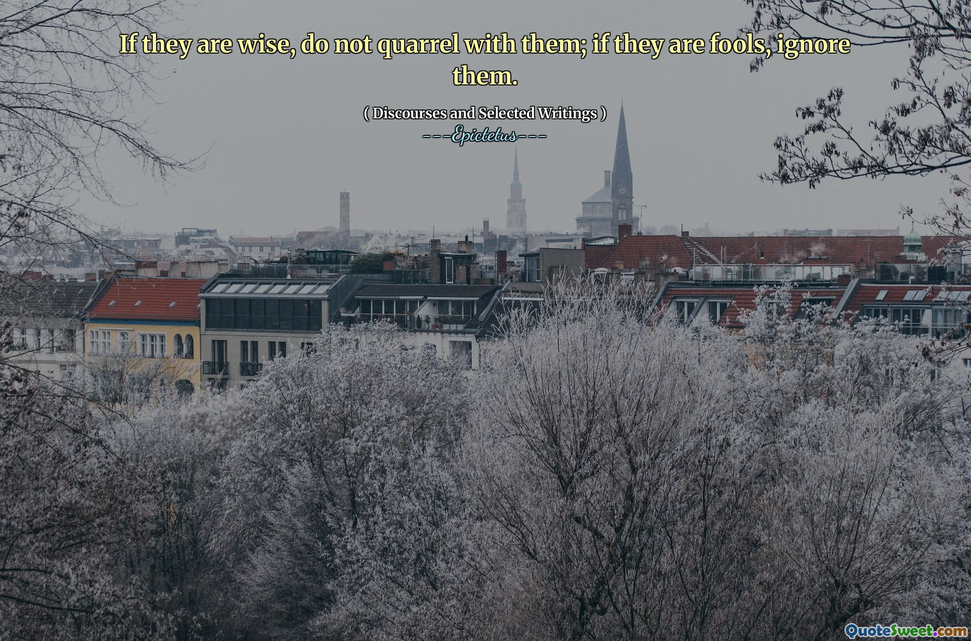 彼らが賢いなら、彼らと口論しないでください。彼らが愚か者なら、彼らを無視してください。