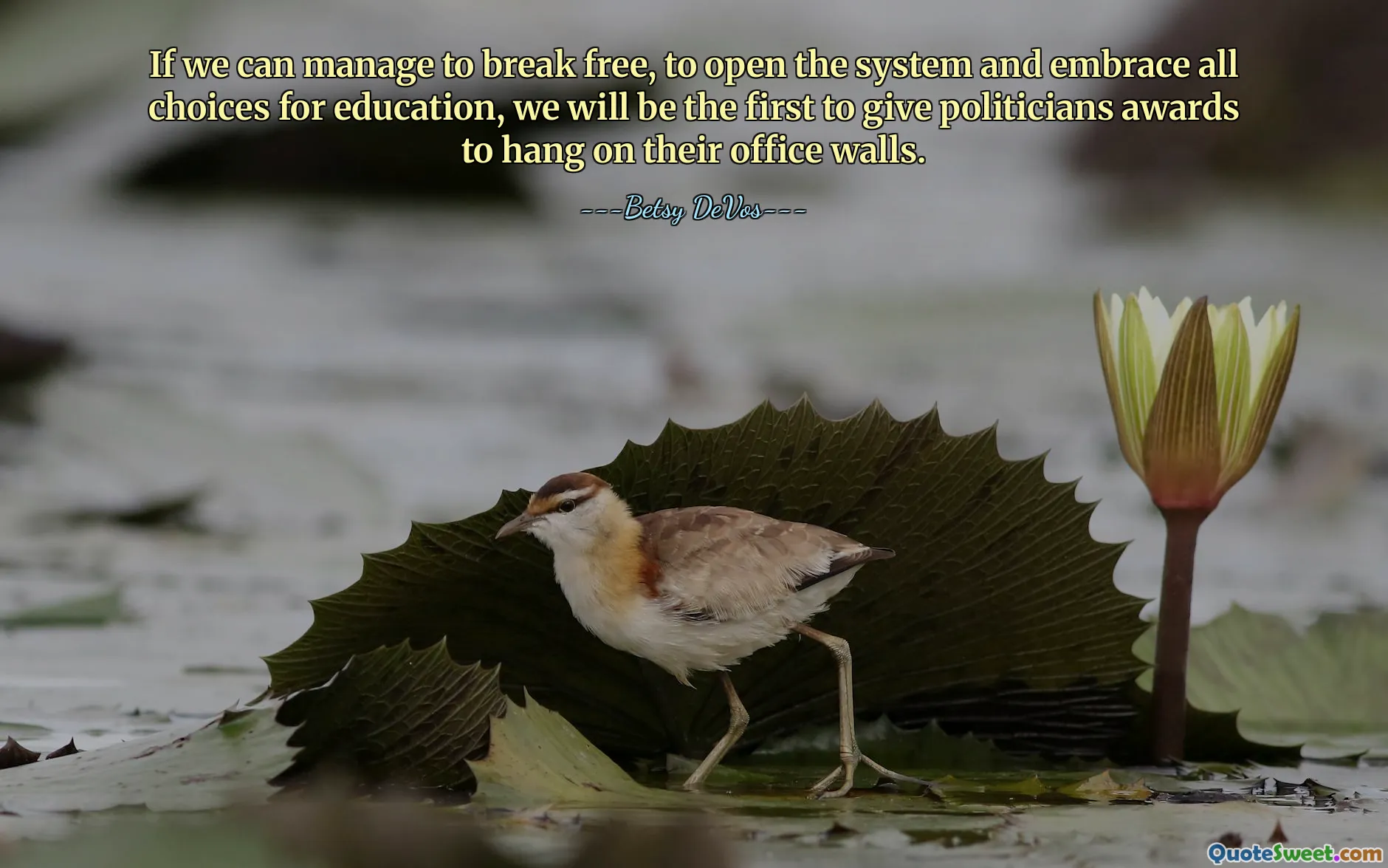 यदि हम इससे मुक्त होने, सिस्टम को खोलने और शिक्षा के लिए सभी विकल्पों को अपनाने में कामयाब हो सकें, तो हम राजनेताओं को उनके कार्यालय की दीवारों पर लटकाने के लिए पुरस्कार देने वाले पहले व्यक्ति होंगे।