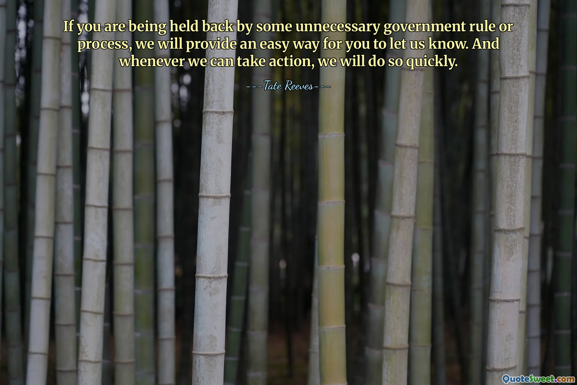 If you are being held back by some unnecessary government rule or process, we will provide an easy way for you to let us know. And whenever we can take action, we will do so quickly.