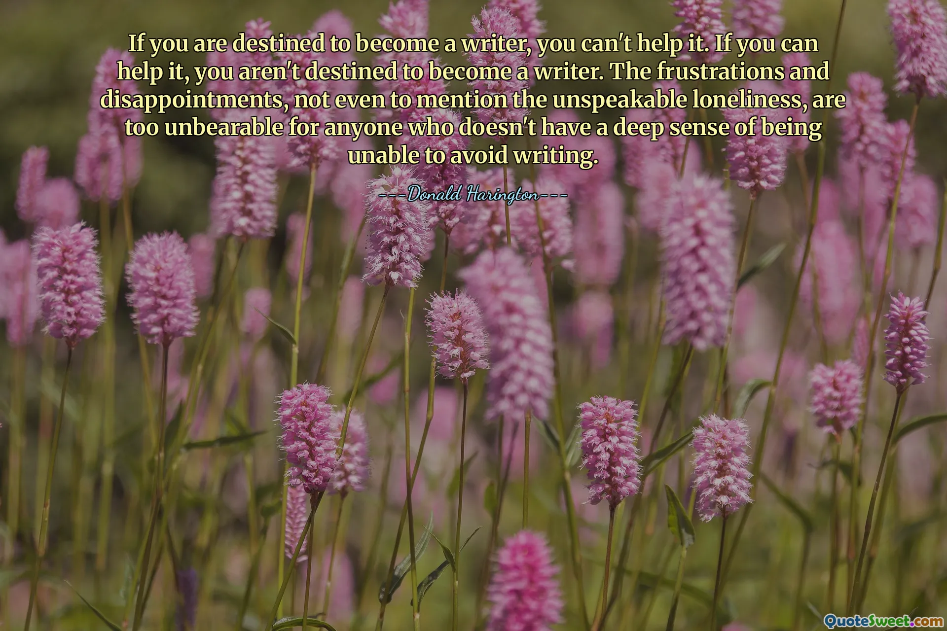 If you are destined to become a writer, you can't help it. If you can help it, you aren't destined to become a writer. The frustrations and disappointments, not even to mention the unspeakable loneliness, are too unbearable for anyone who doesn't have a deep sense of being unable to avoid writing.