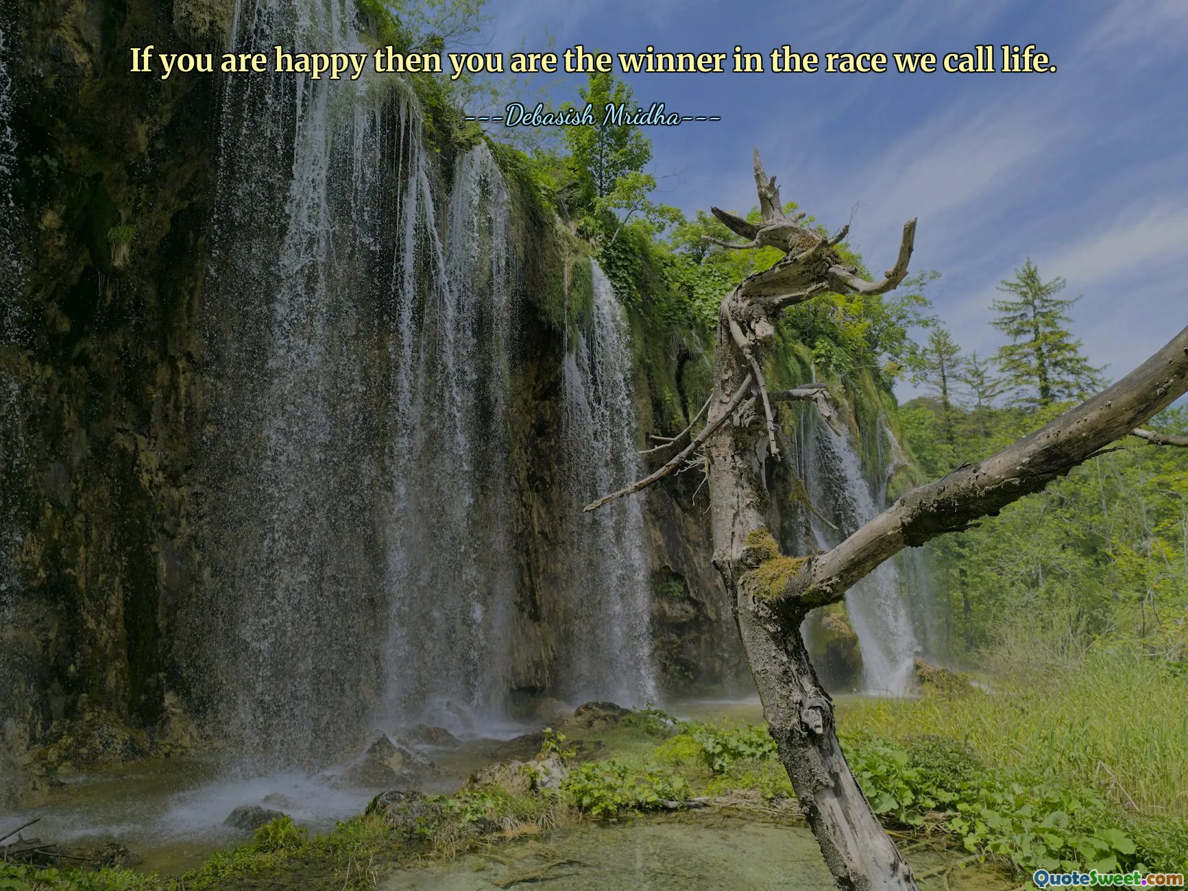 If you are happy then you are the winner in the race we call life.