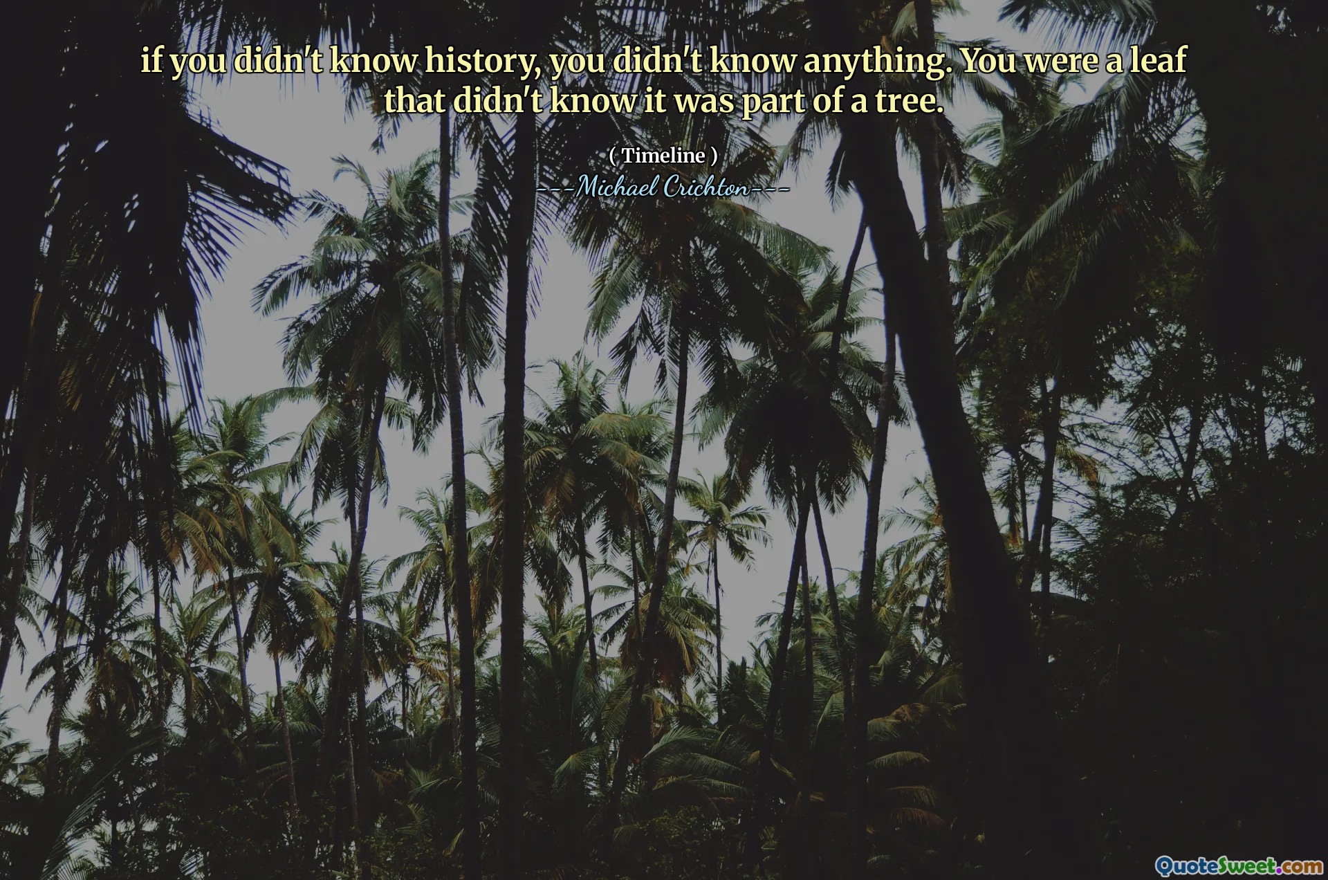 如果您不了解历史，那么您什么都不知道。您是一片不知道它是树的一部分。