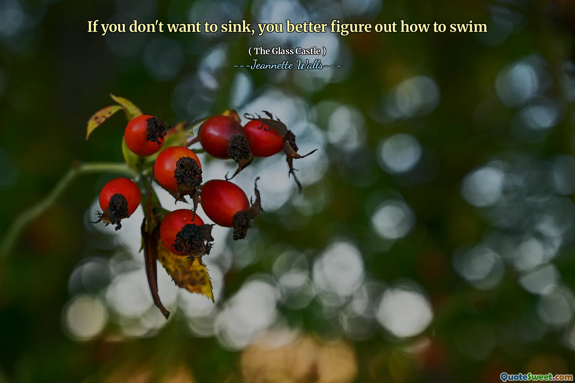 Se non vuoi affondare, è meglio capire come nuotare