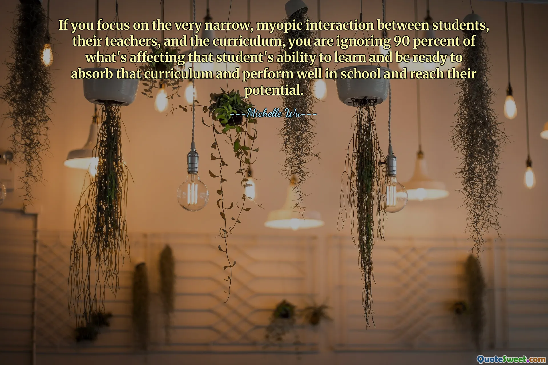 If you focus on the very narrow, myopic interaction between students, their teachers, and the curriculum, you are ignoring 90 percent of what's affecting that student's ability to learn and be ready to absorb that curriculum and perform well in school and reach their potential.