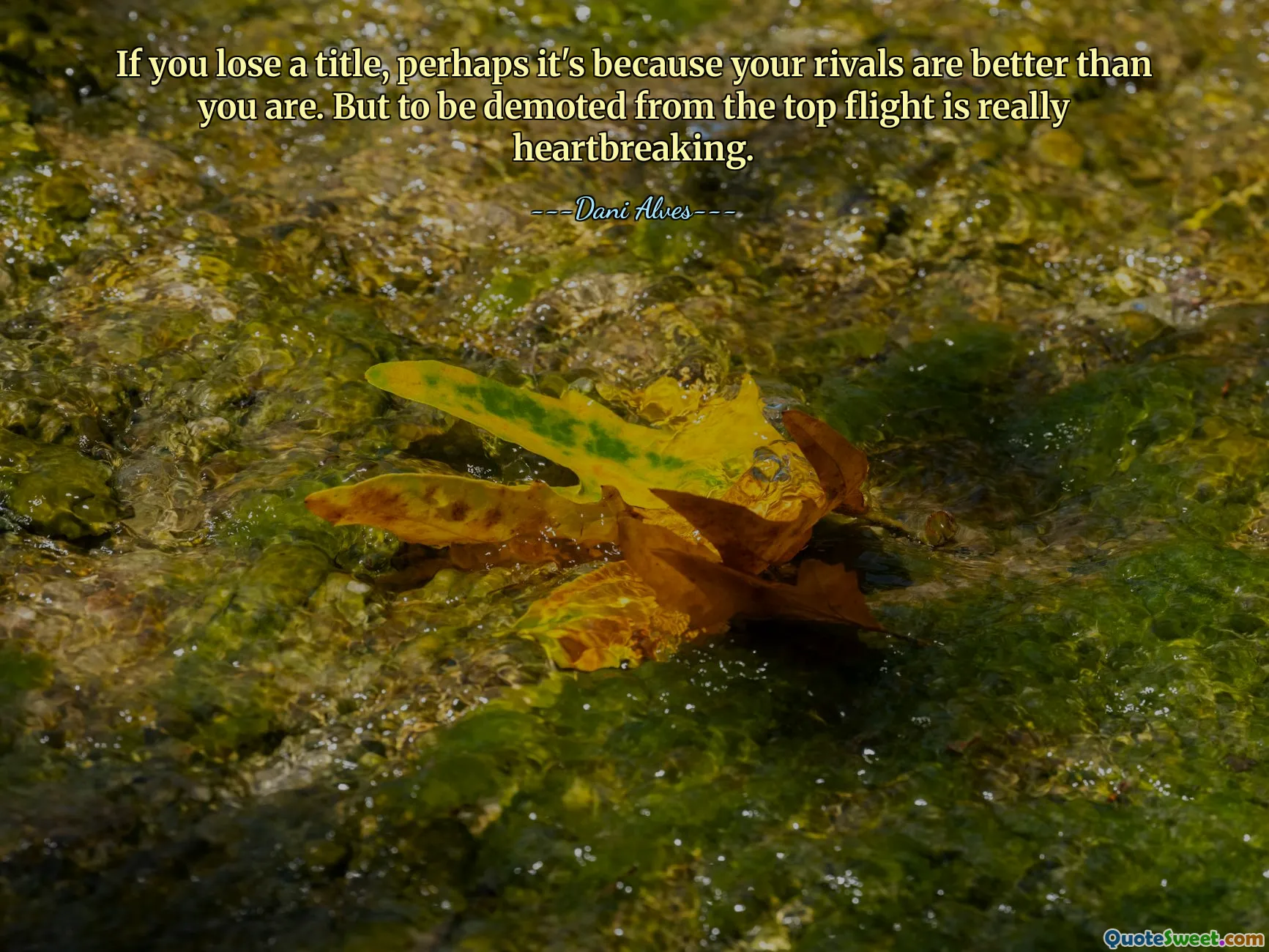 If you lose a title, perhaps it's because your rivals are better than you are. But to be demoted from the top flight is really heartbreaking.