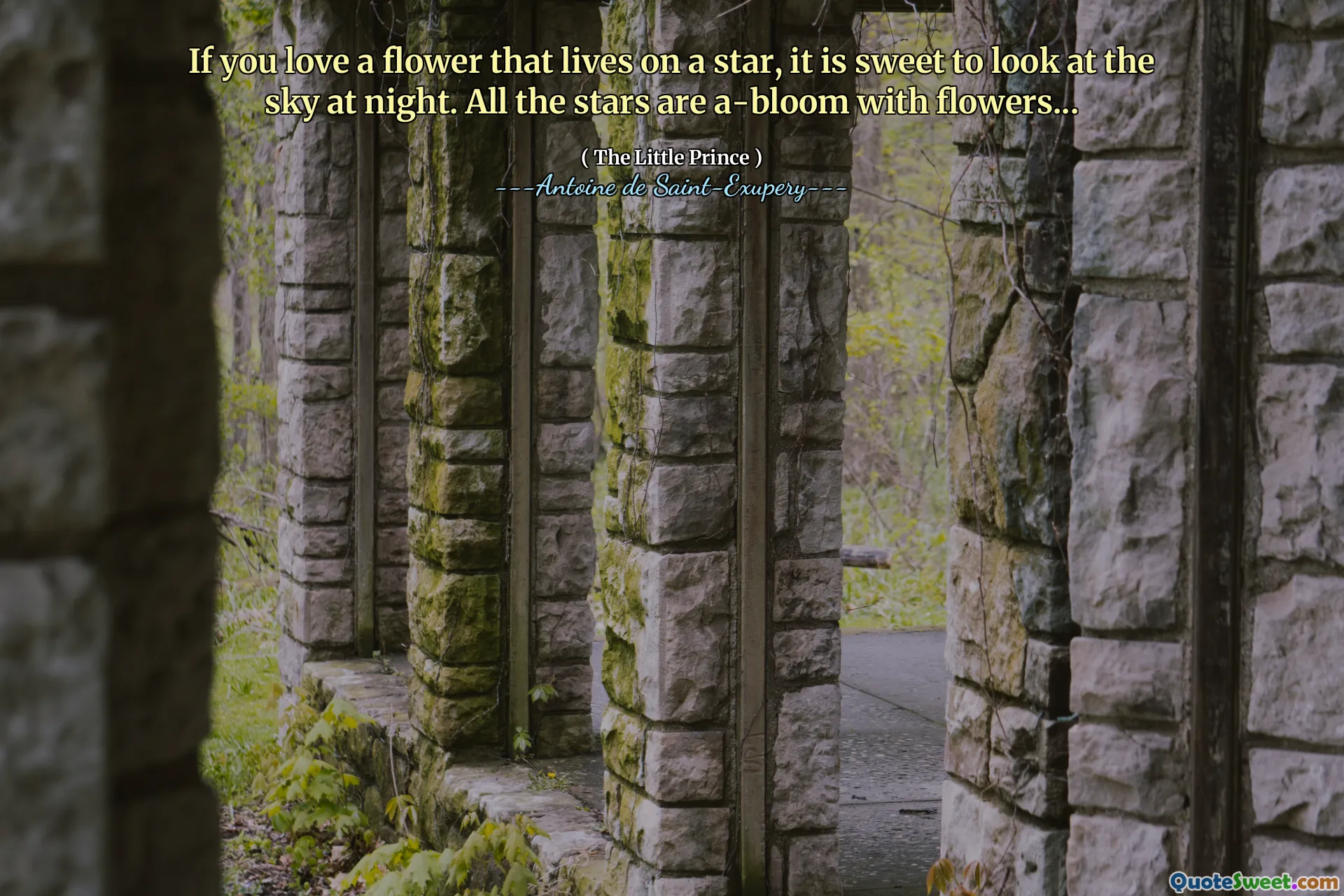 If you love a flower that lives on a star, it is sweet to look at the sky at night. All the stars are a-bloom with flowers...