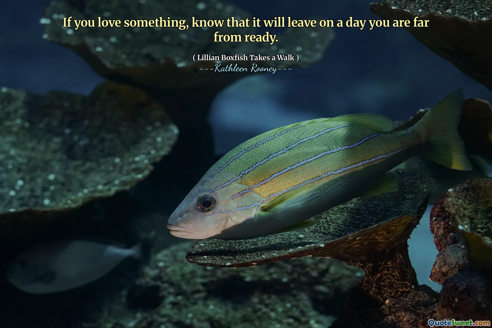 If you love something, know that it will leave on a day you are far from ready.
