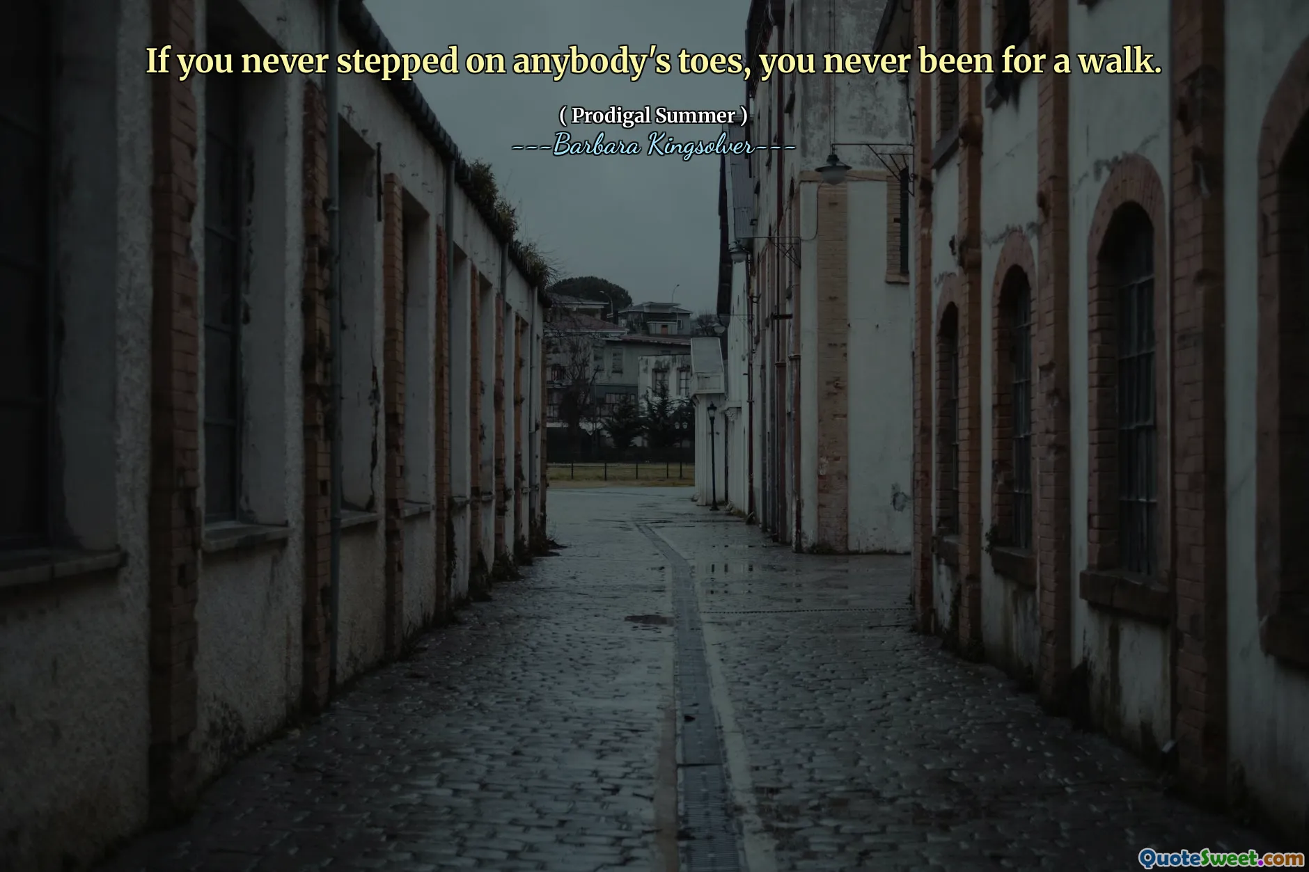 If you never stepped on anybody's toes, you never been for a walk.