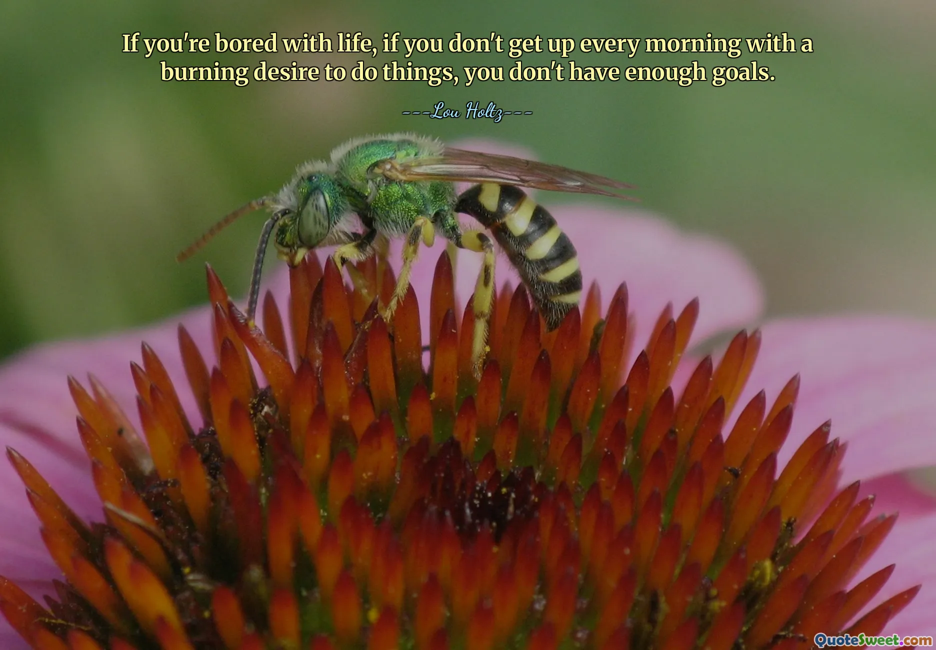 If you're bored with life, if you don't get up every morning with a burning desire to do things, you don't have enough goals.