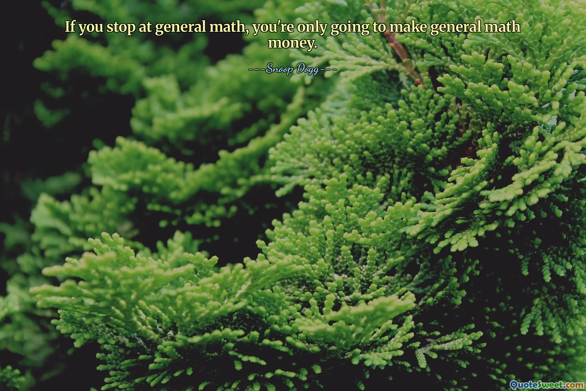 If you stop at general math, you're only going to make general math money.