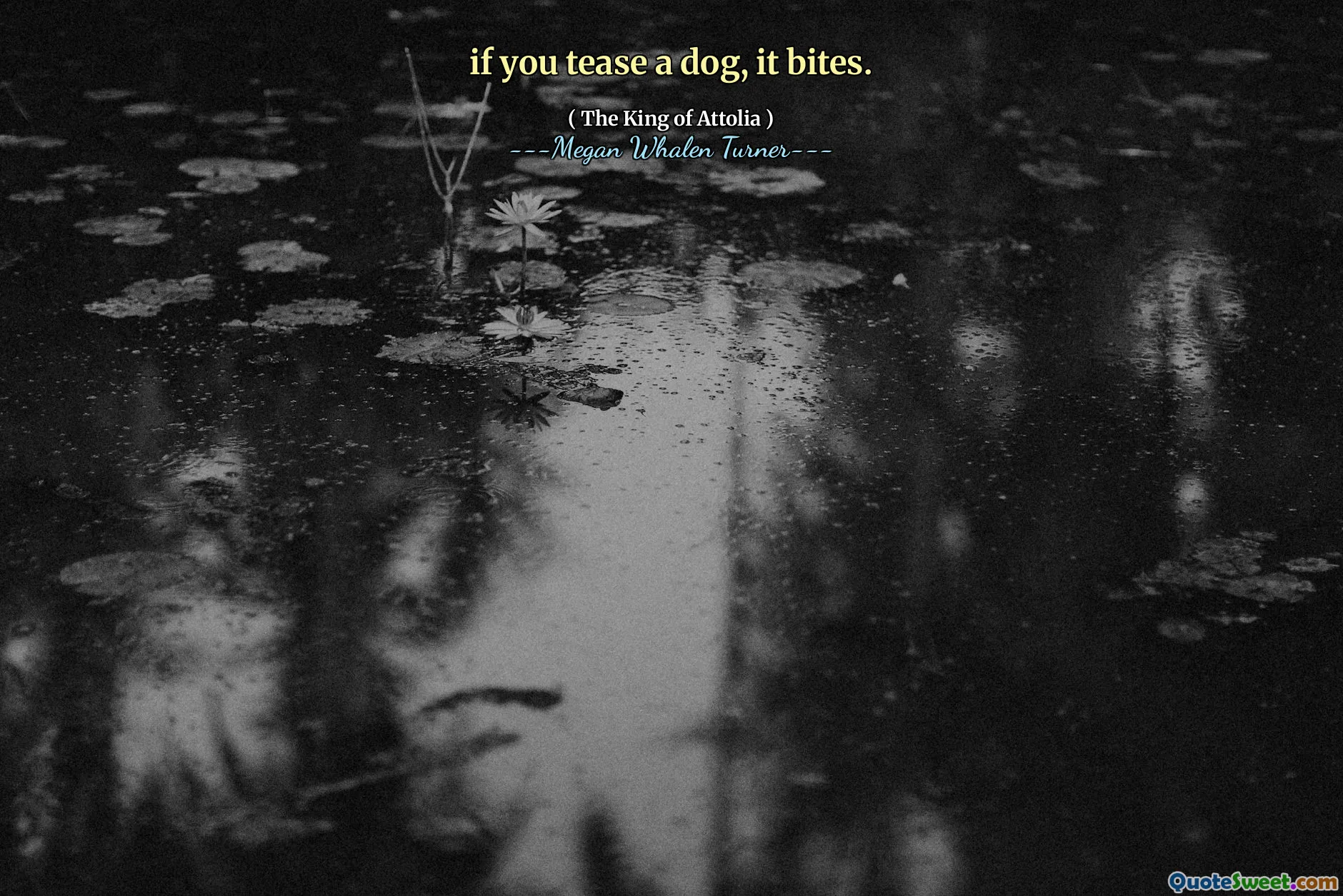 if you tease a dog, it bites.