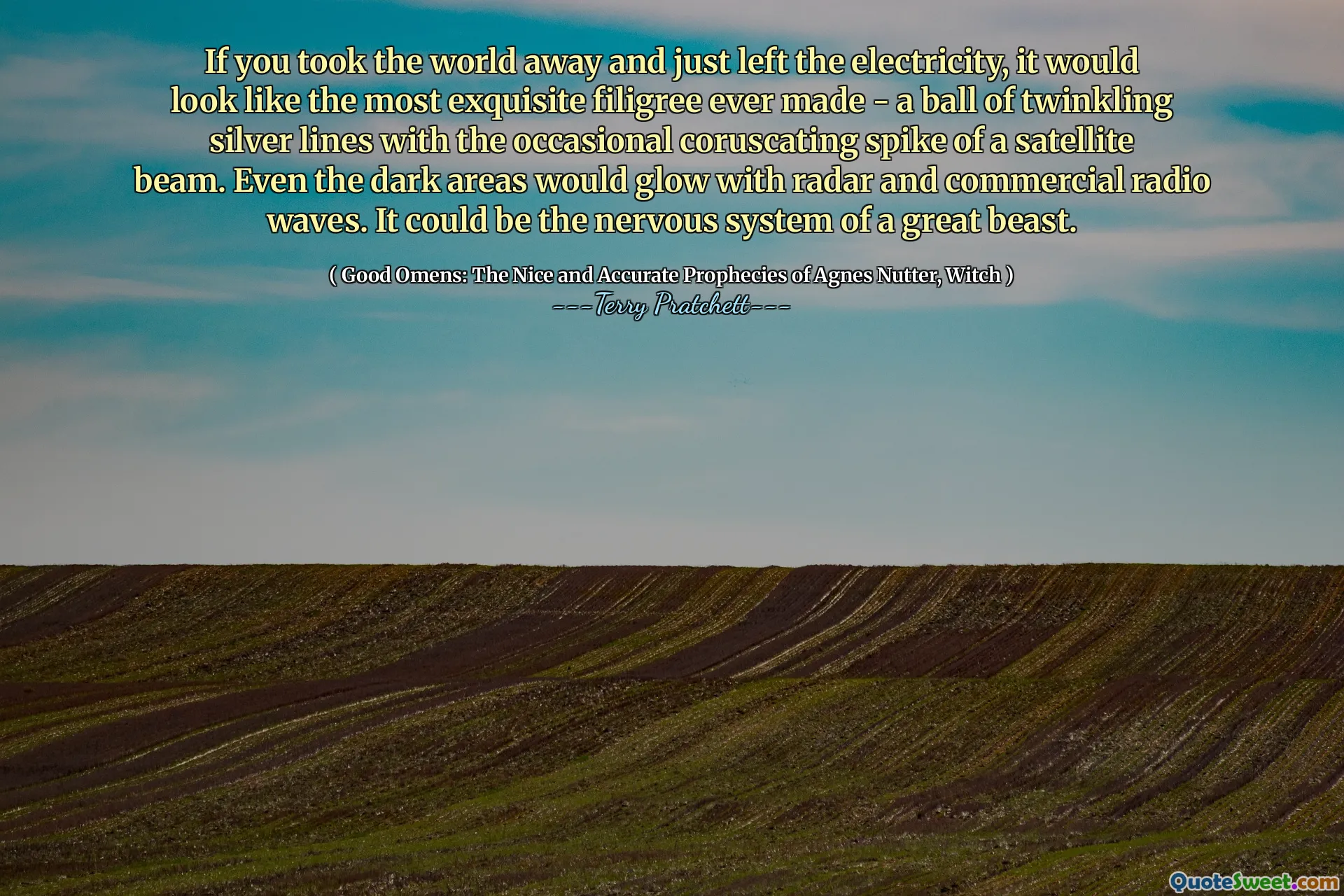 If you took the world away and just left the electricity, it would look like the most exquisite filigree ever made - a ball of twinkling silver lines with the occasional coruscating spike of a satellite beam. Even the dark areas would glow with radar and commercial radio waves. It could be the nervous system of a great beast.