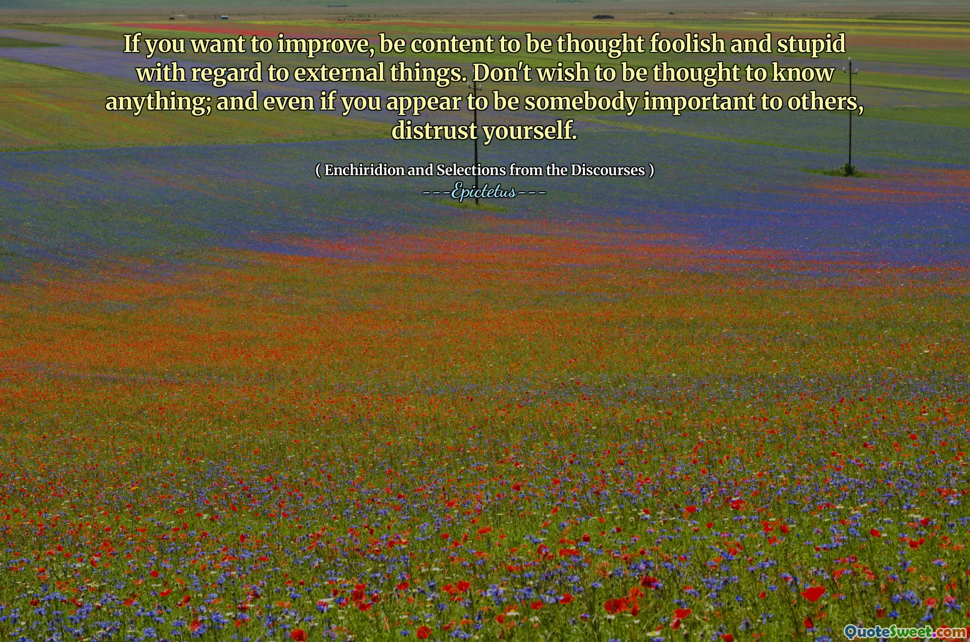 Se vuoi migliorare, assicurati di essere pensato sciocco e stupido per quanto riguarda le cose esterne. Non vorrei pensare di sapere nulla; E anche se sembri essere qualcuno importante per gli altri, diffidati.