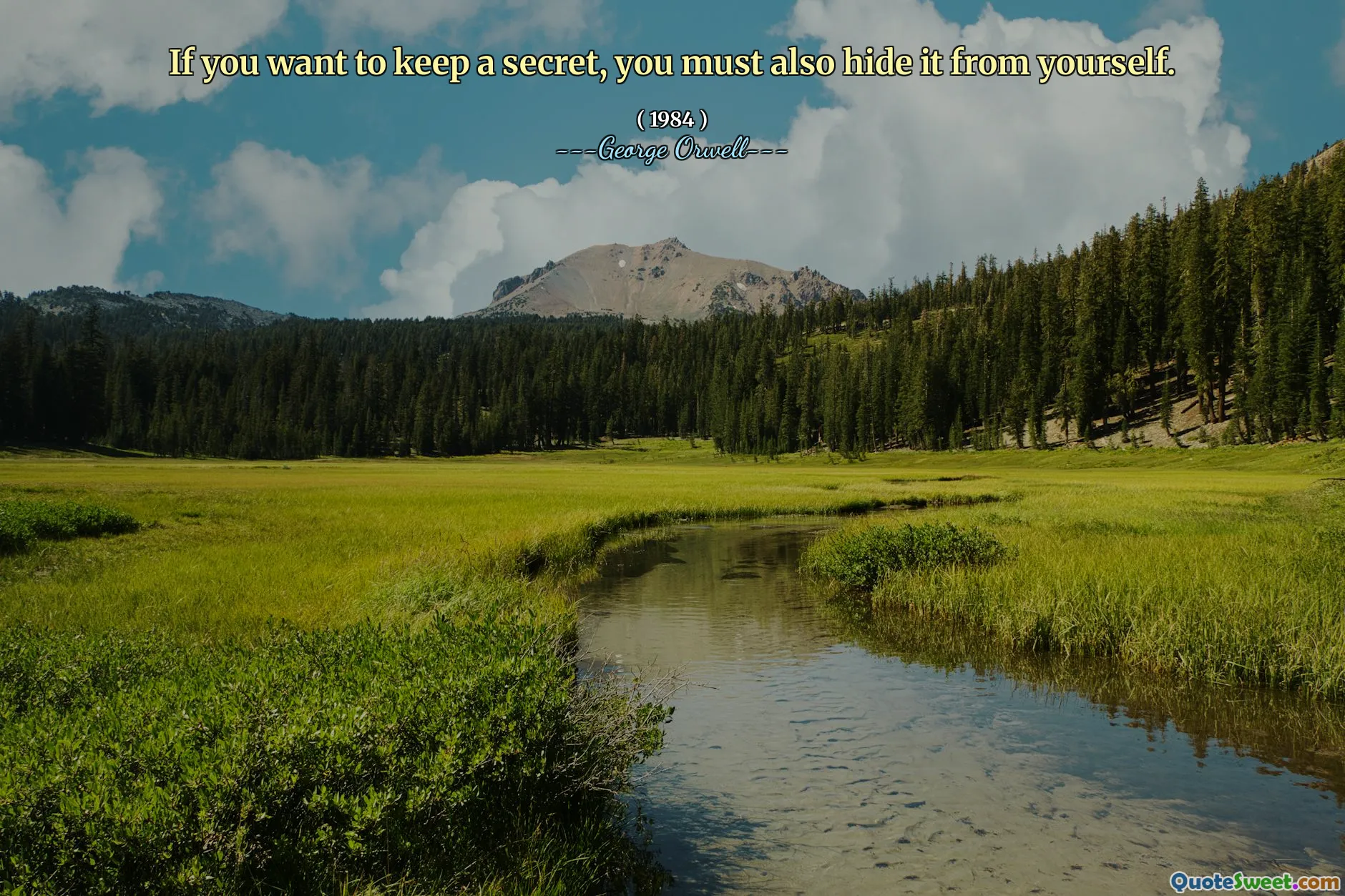 Se vuoi mantenere un segreto, devi anche nasconderlo da te stesso.