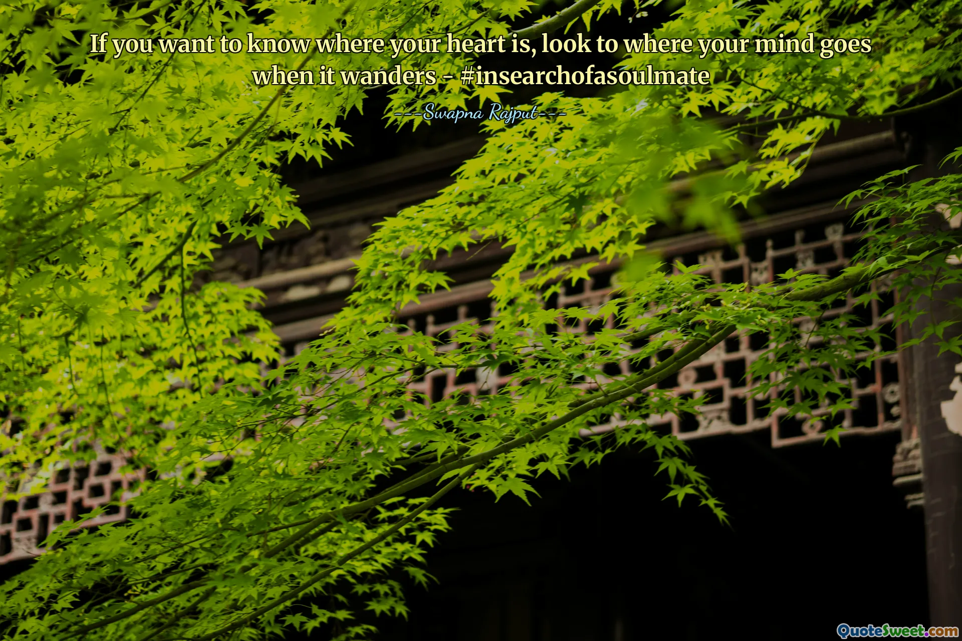 If you want to know where your heart is, look to where your mind goes when it wanders - #insearchofasoulmate