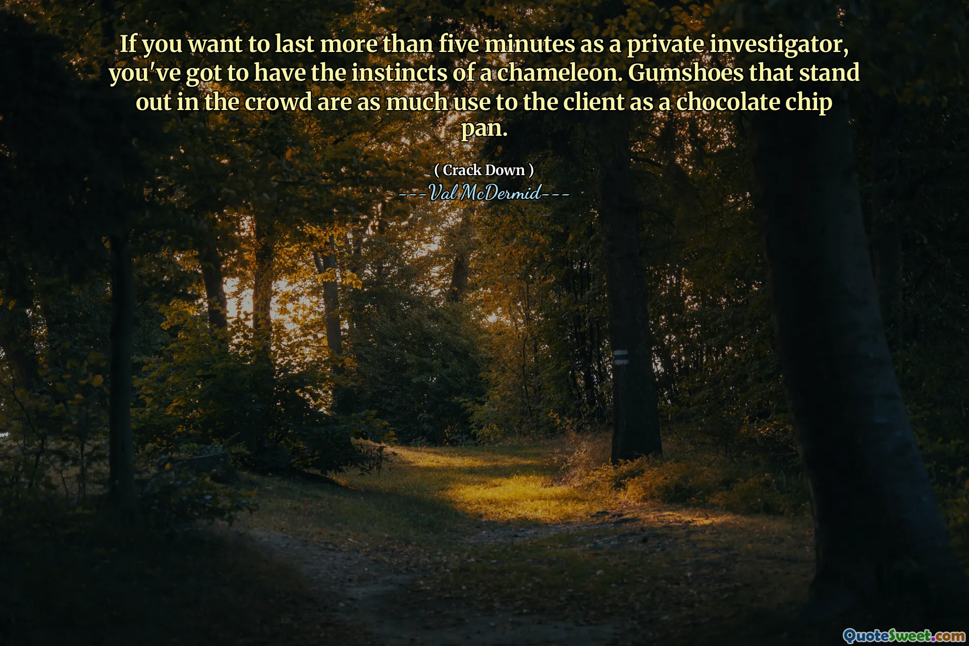 If you want to last more than five minutes as a private investigator, you've got to have the instincts of a chameleon. Gumshoes that stand out in the crowd are as much use to the client as a chocolate chip pan.