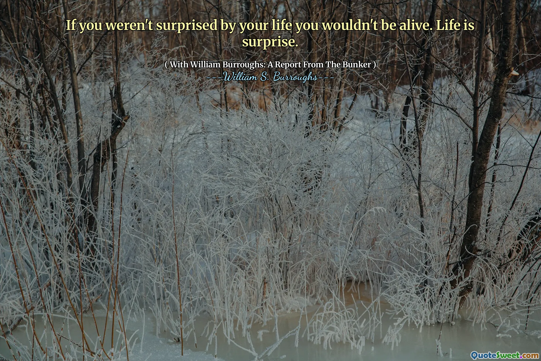 如果您对自己的生活并不感到惊讶，那您就不会活着。生活令人惊讶。