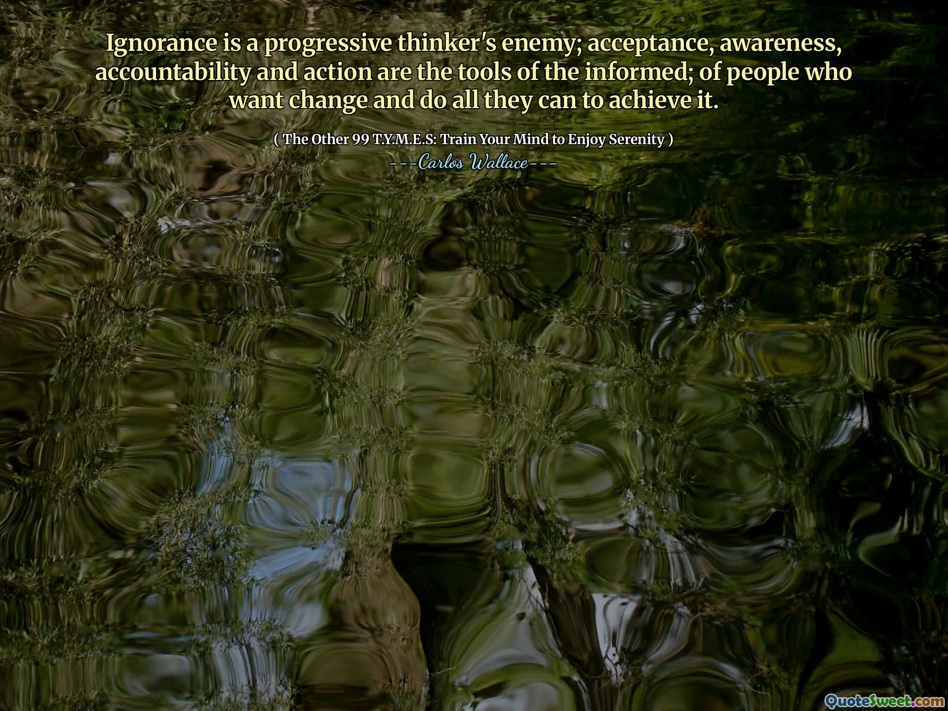 Ignorance is a progressive thinker's enemy; acceptance, awareness, accountability and action are the tools of the informed; of people who want change and do all they can to achieve it.