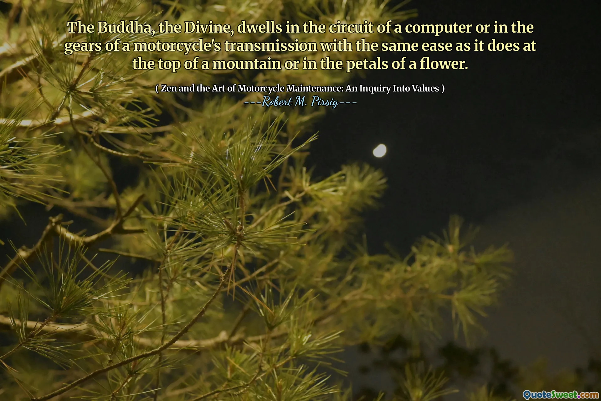 The Buddha, the Divine, dwells in the circuit of a computer or in the gears of a motorcycle's transmission with the same ease as it does at the top of a mountain or in the petals of a flower.