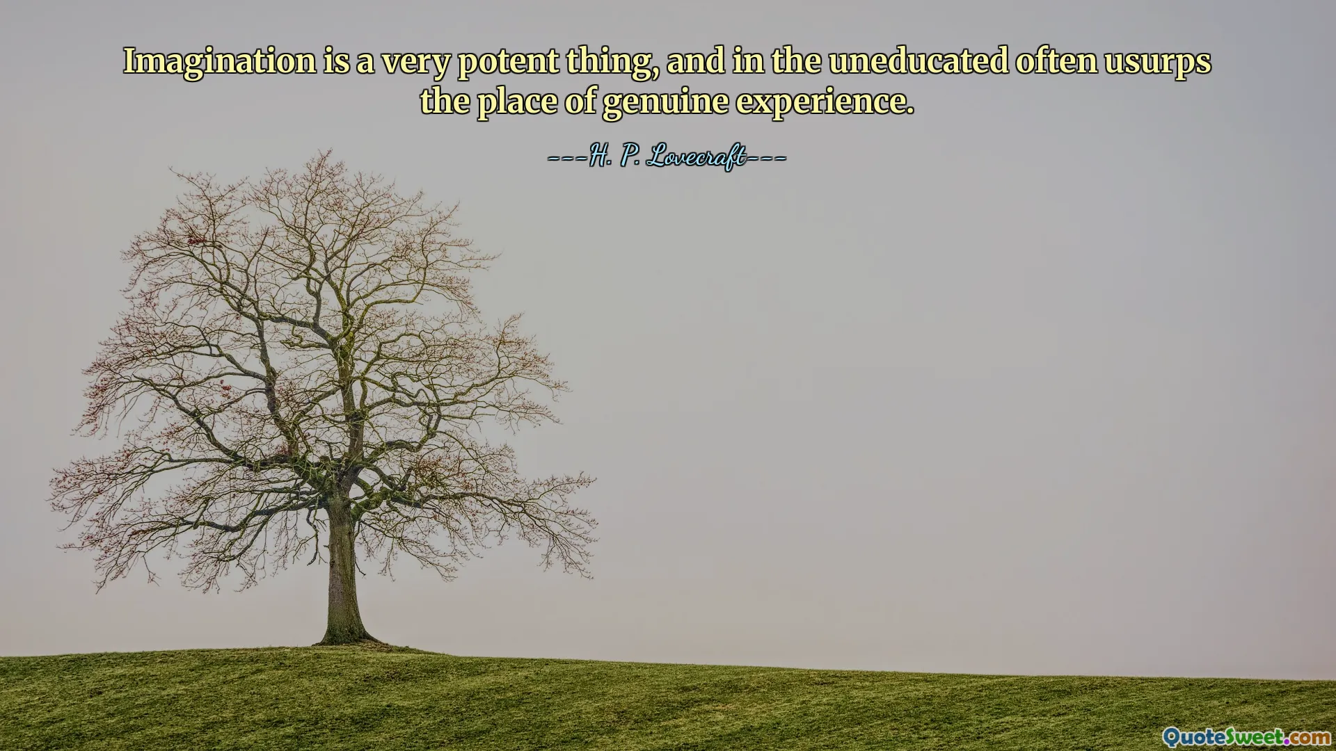 Imagination is a very potent thing, and in the uneducated often usurps the place of genuine experience.