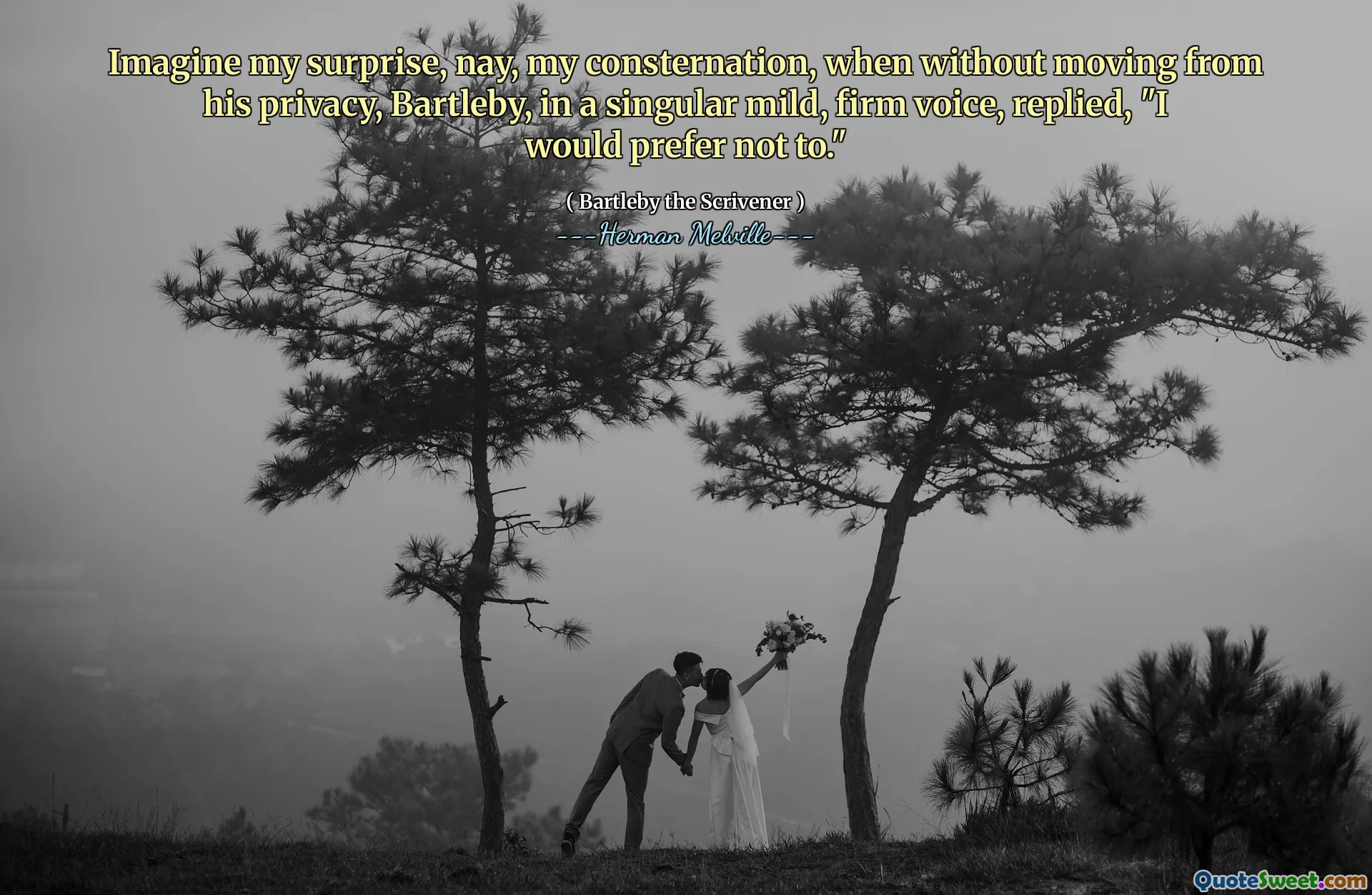 Hãy tưởng tượng sự ngạc nhiên của tôi, Nay, sự lập dị của tôi, khi không di chuyển từ sự riêng tư của anh ấy, Bartleby, trong một giọng nói nhẹ nhàng, đơn giản, trả lời: "Tôi không muốn."