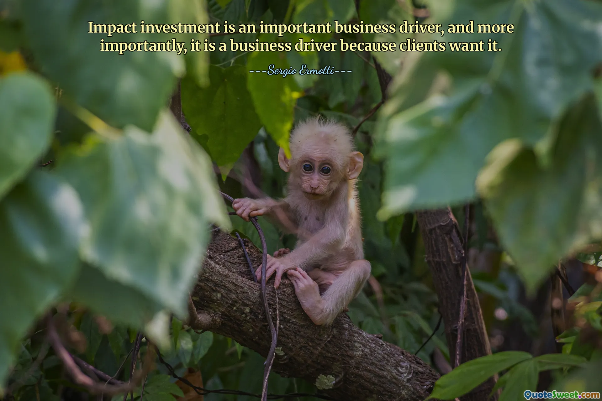 임팩트 투자는 중요한 비즈니스 동인이며, 더 중요하게는 고객이 원하기 때문에 비즈니스 동인이 됩니다.