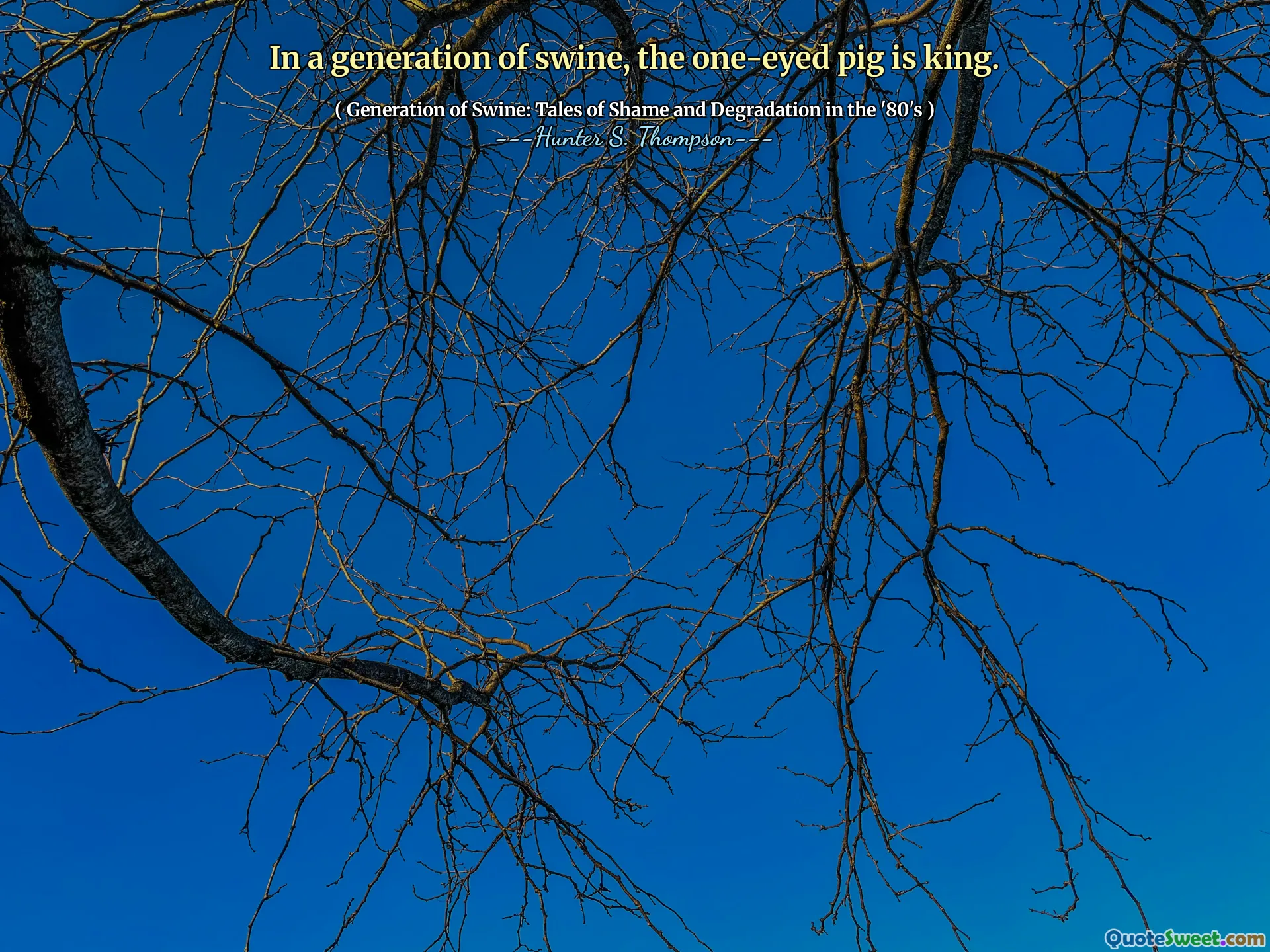 सूअर की एक पीढ़ी में, एक-आंखों वाला सुअर राजा है।