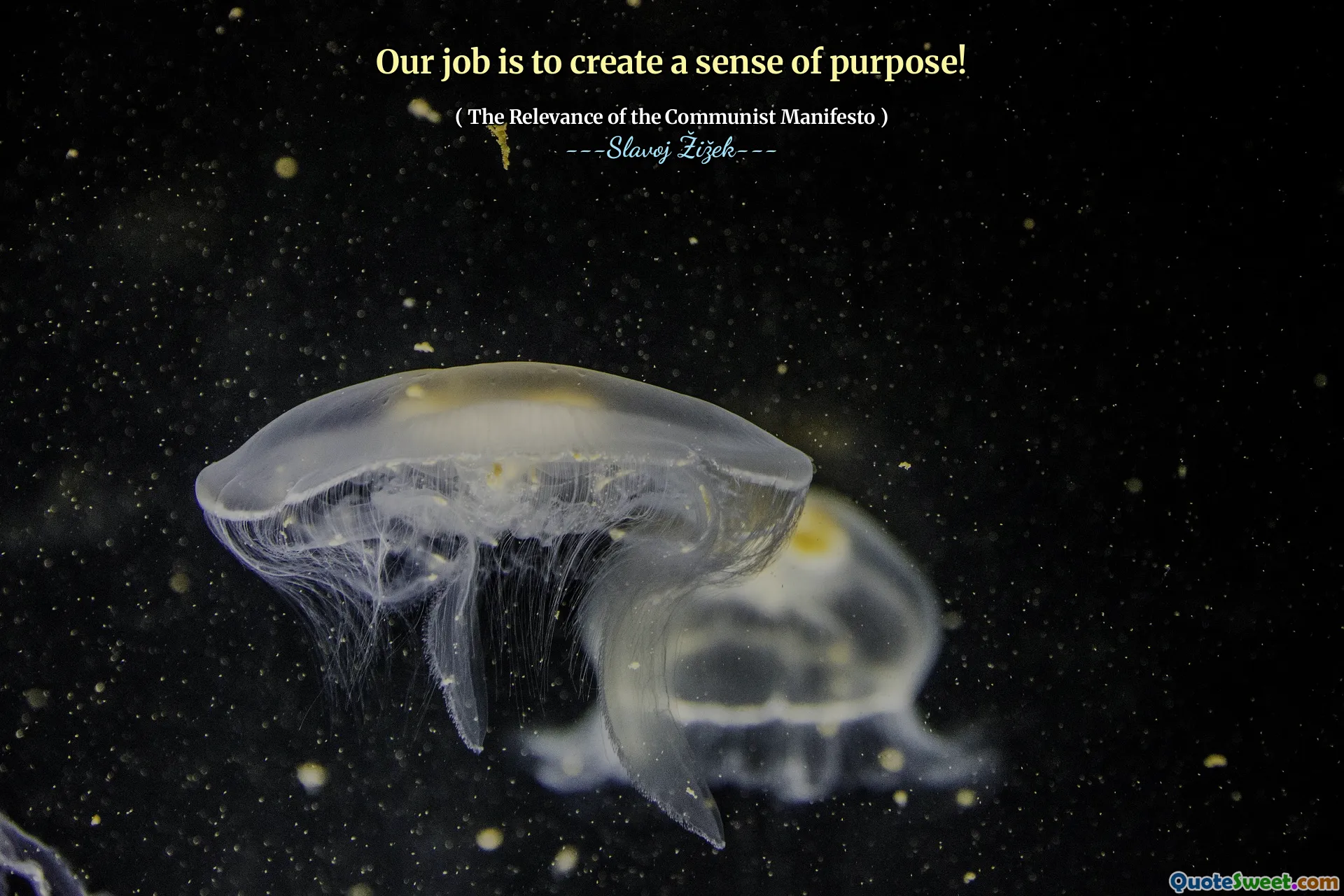 Our job is to create a sense of purpose!