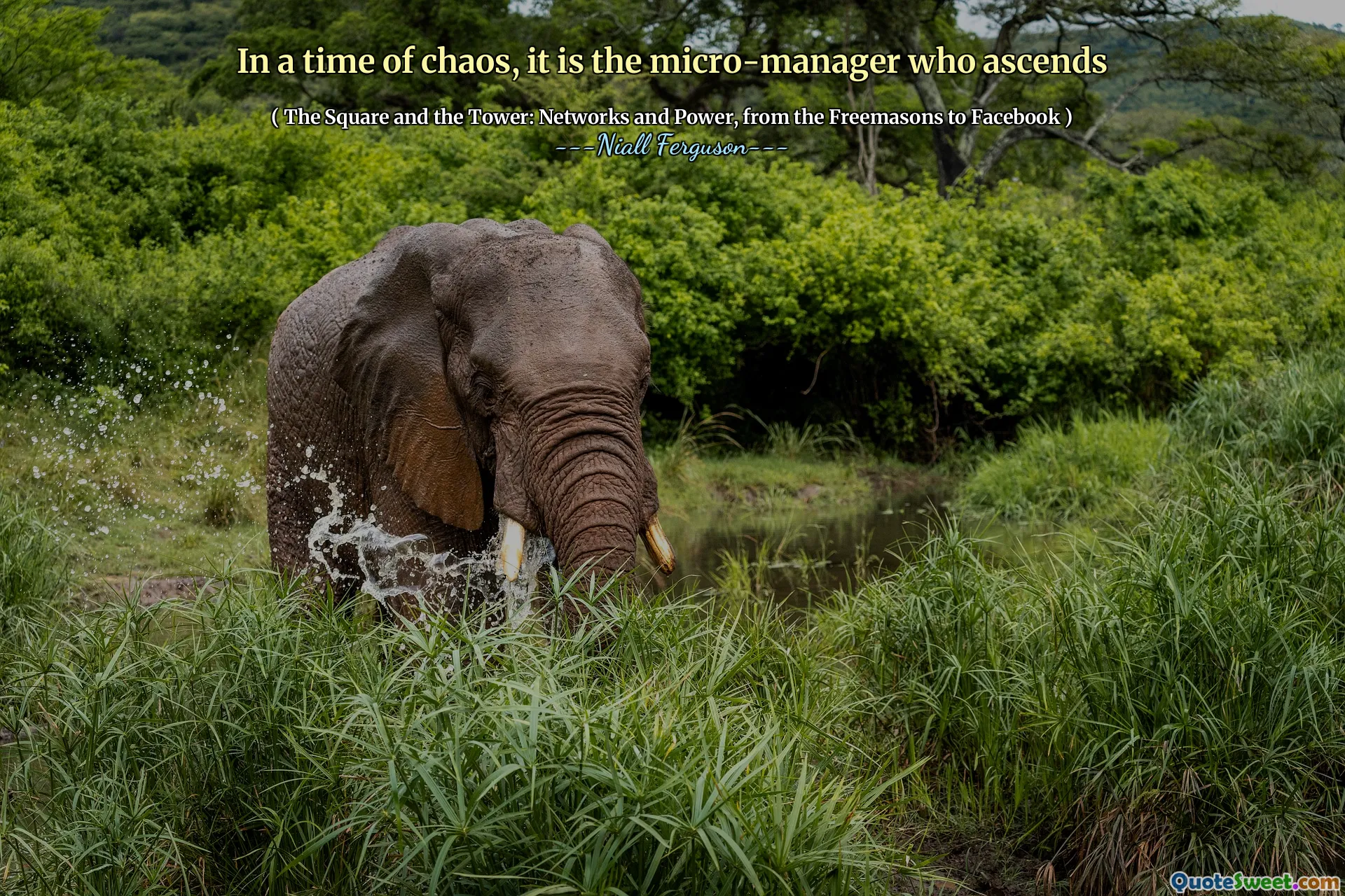 In a time of chaos, it is the micro-manager who ascends