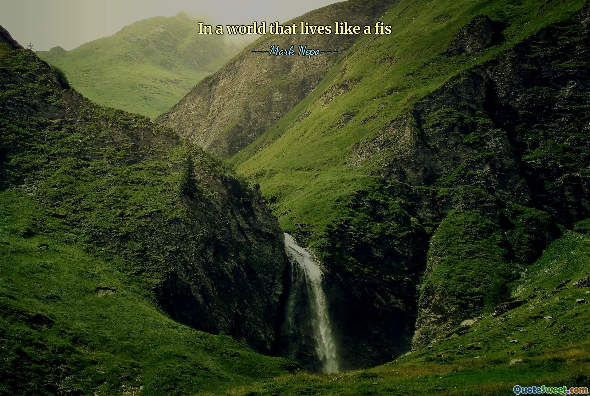 في عالم يعيش مثل FIS