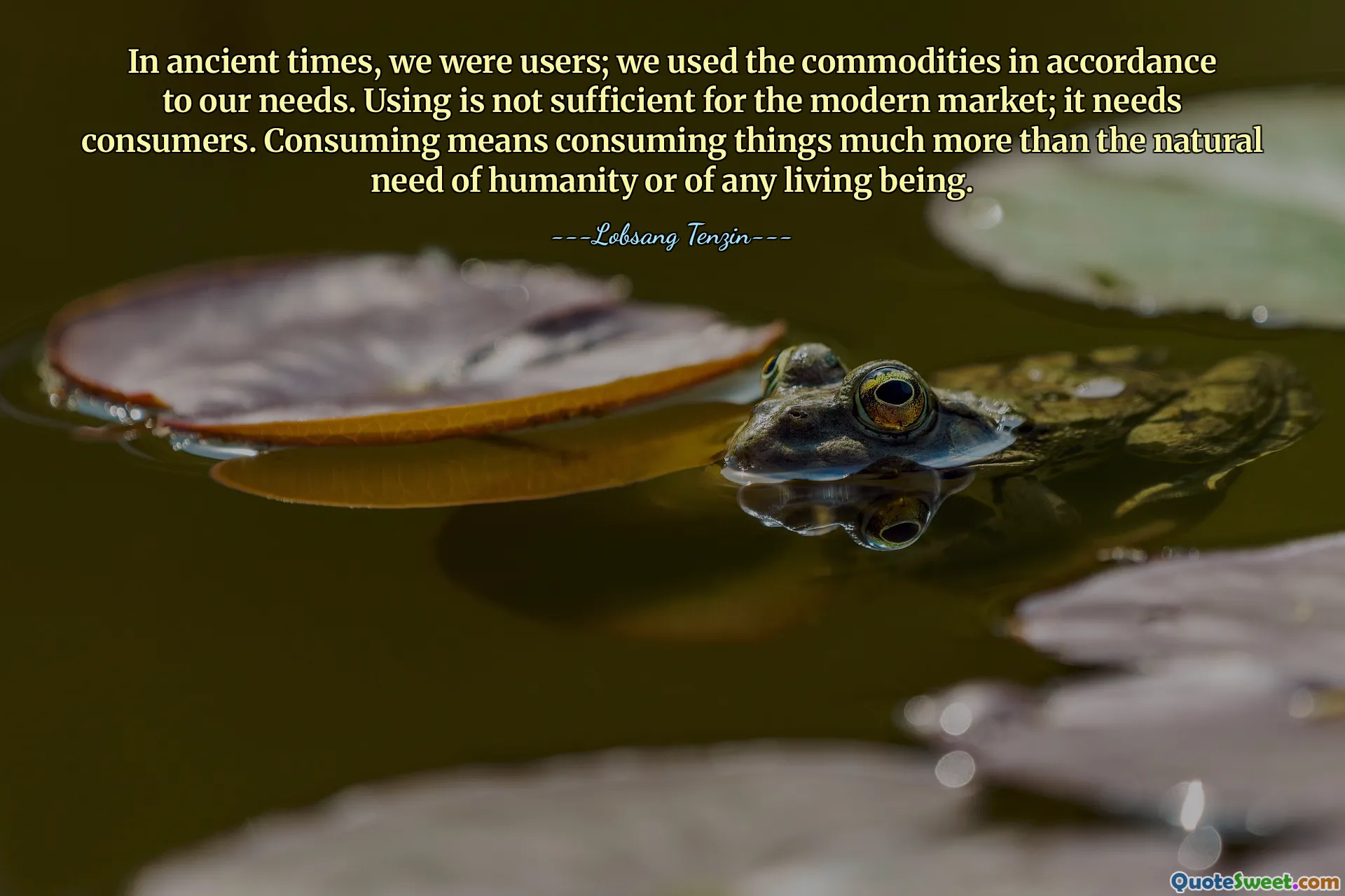 V dávných dobách jsme byli uživateli; komodity jsme používali v souladu s našimi potřebami. Používání není pro moderní trh dostatečné; potřebuje spotřebitele. Spotřeba znamená konzumovat věci mnohem více, než je přirozená potřeba lidstva nebo jakékoli živé bytosti.