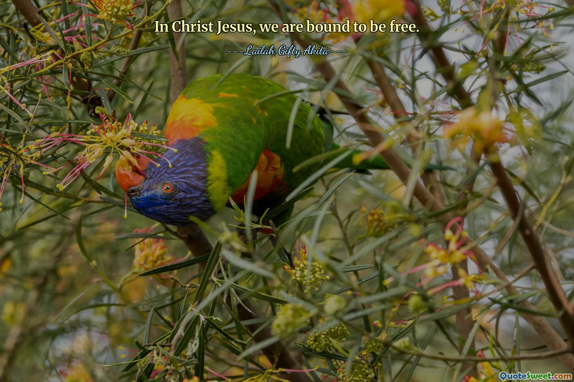 In Christ Jesus, we are bound to be free.