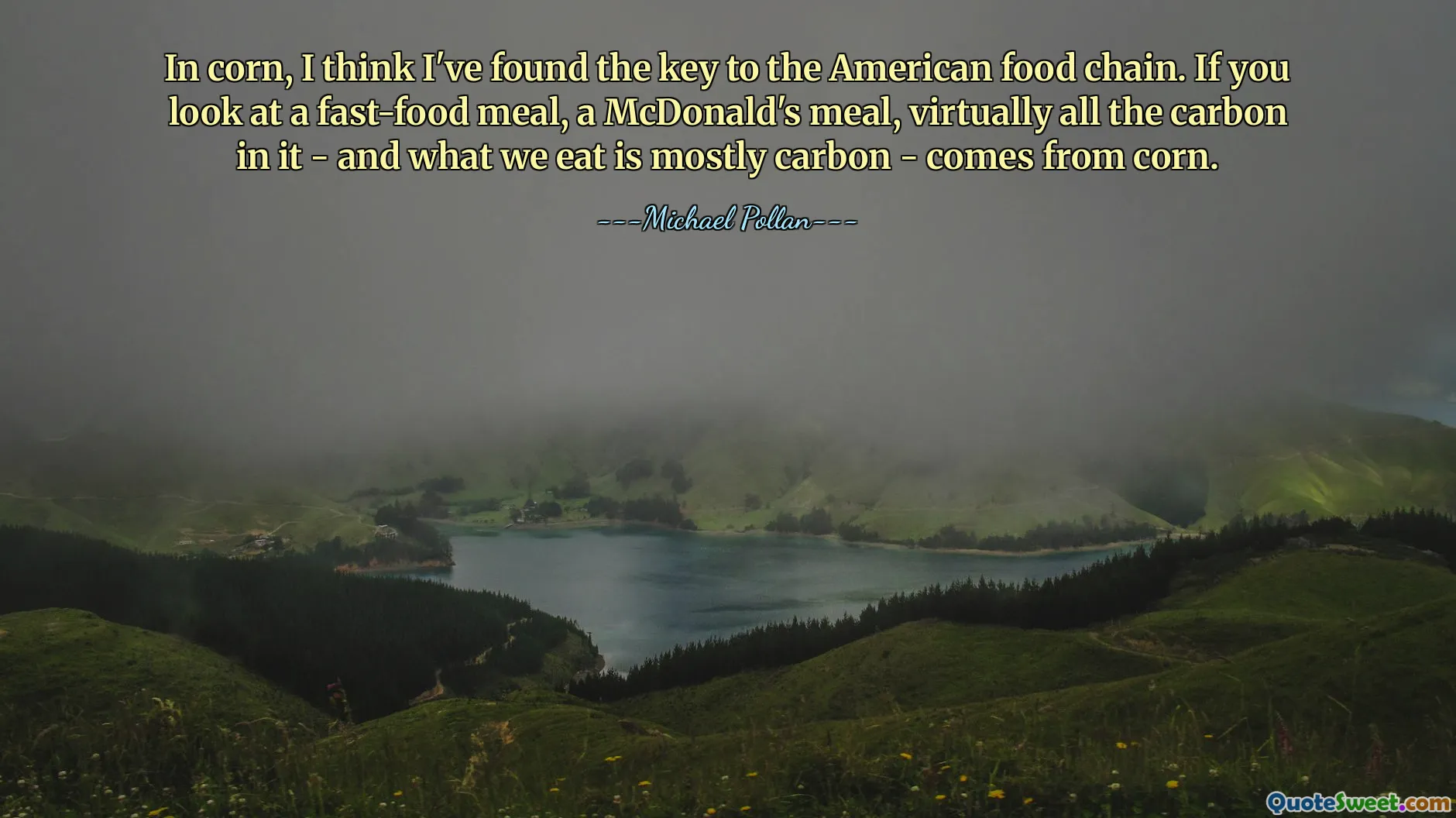 In corn, I think I've found the key to the American food chain. If you look at a fast-food meal, a McDonald's meal, virtually all the carbon in it - and what we eat is mostly carbon - comes from corn.
