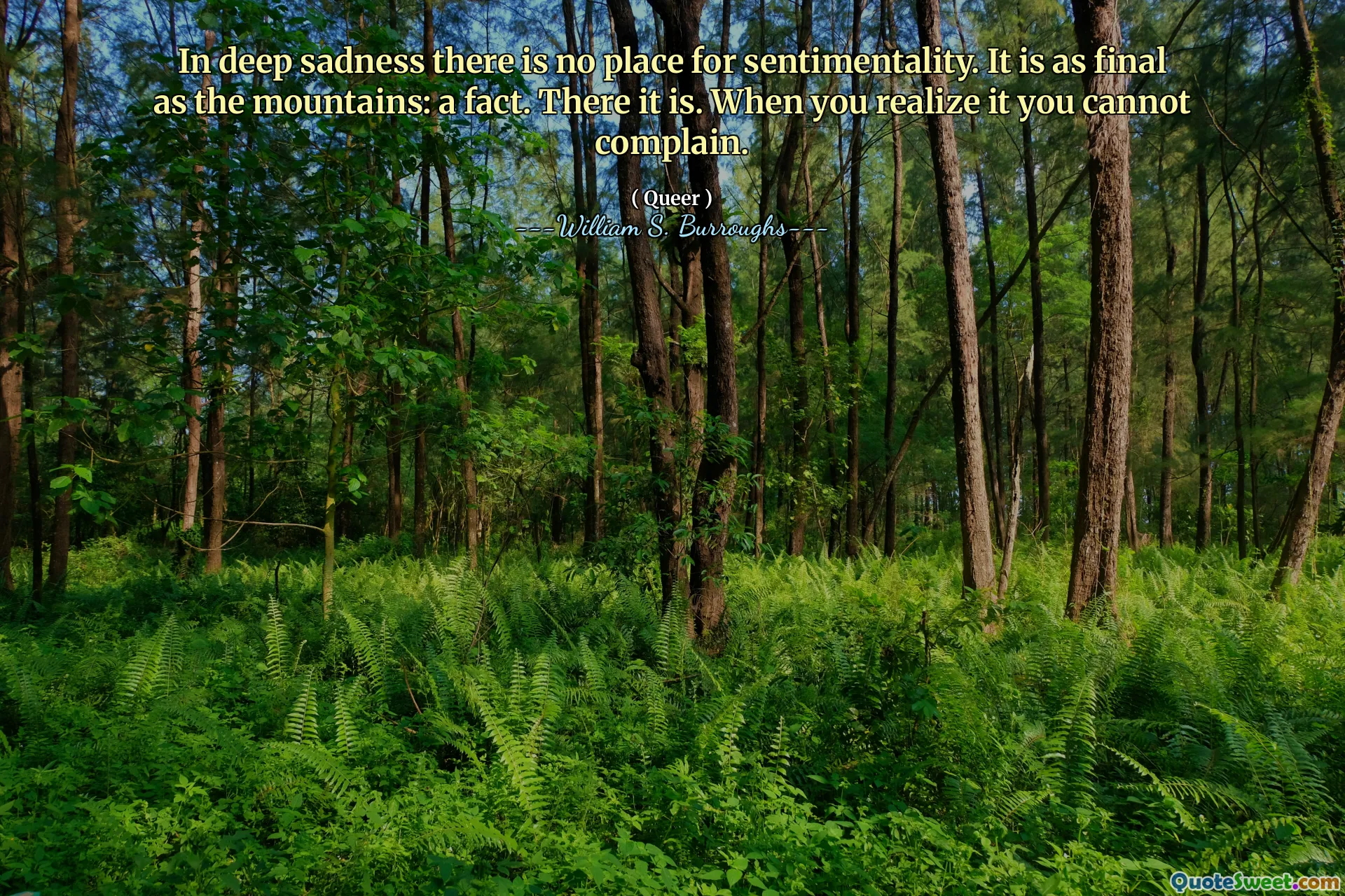 В глубокой грусти нет места для сентиментальности. Это так же окончательно, как горы: факт. Там это есть. Когда вы понимаете это, вы не можете жаловаться.