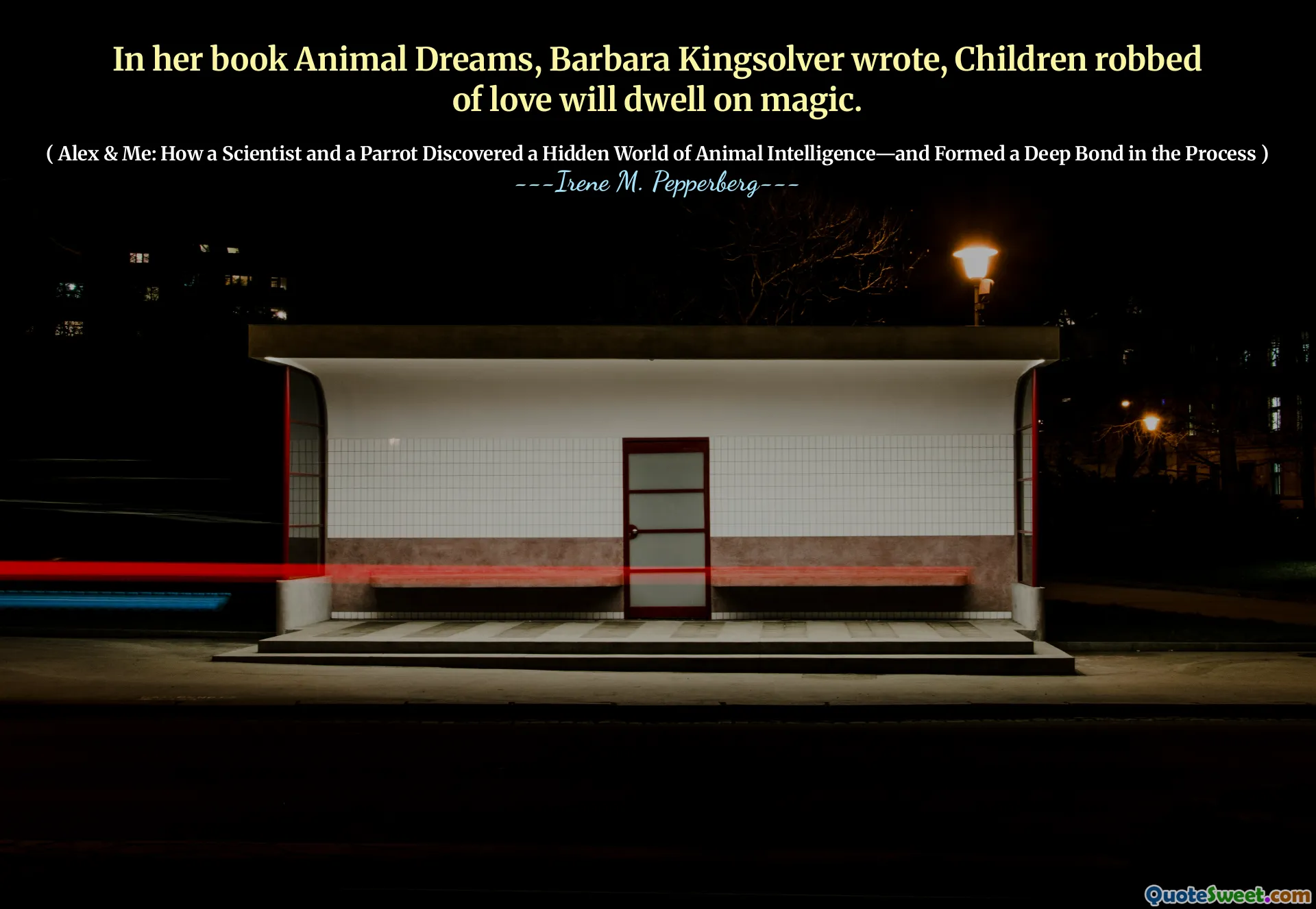 芭芭拉·金斯索尔（Barbara Kingsolver）在她的《动物梦》一书中写道，被抢劫的孩子威尔会住在魔术上。